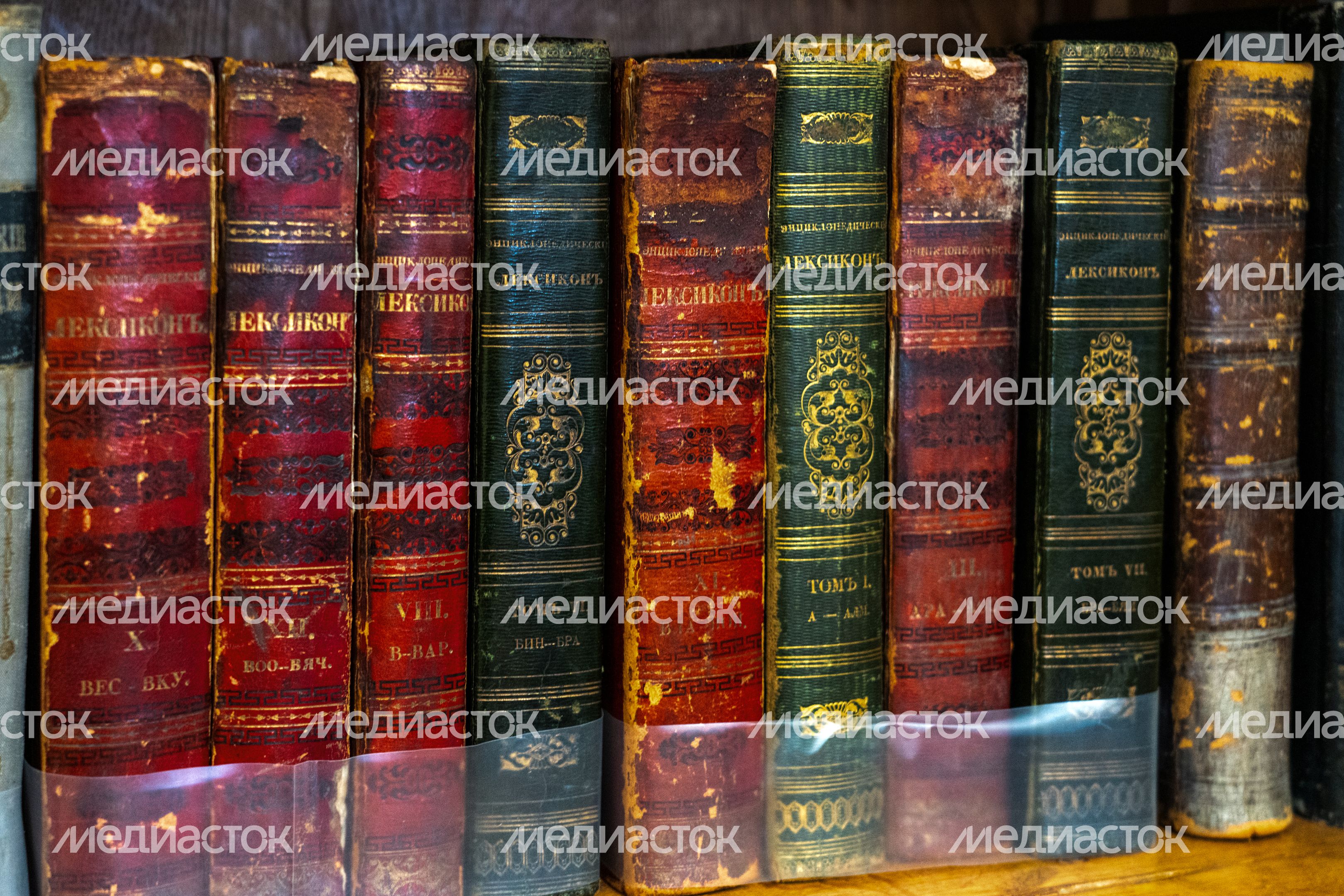Старинные книги на полке библиотеки в усадьбе Боблово в Клину Старинные книги на полке библиотеки в усадьбе Боблово в Клину
