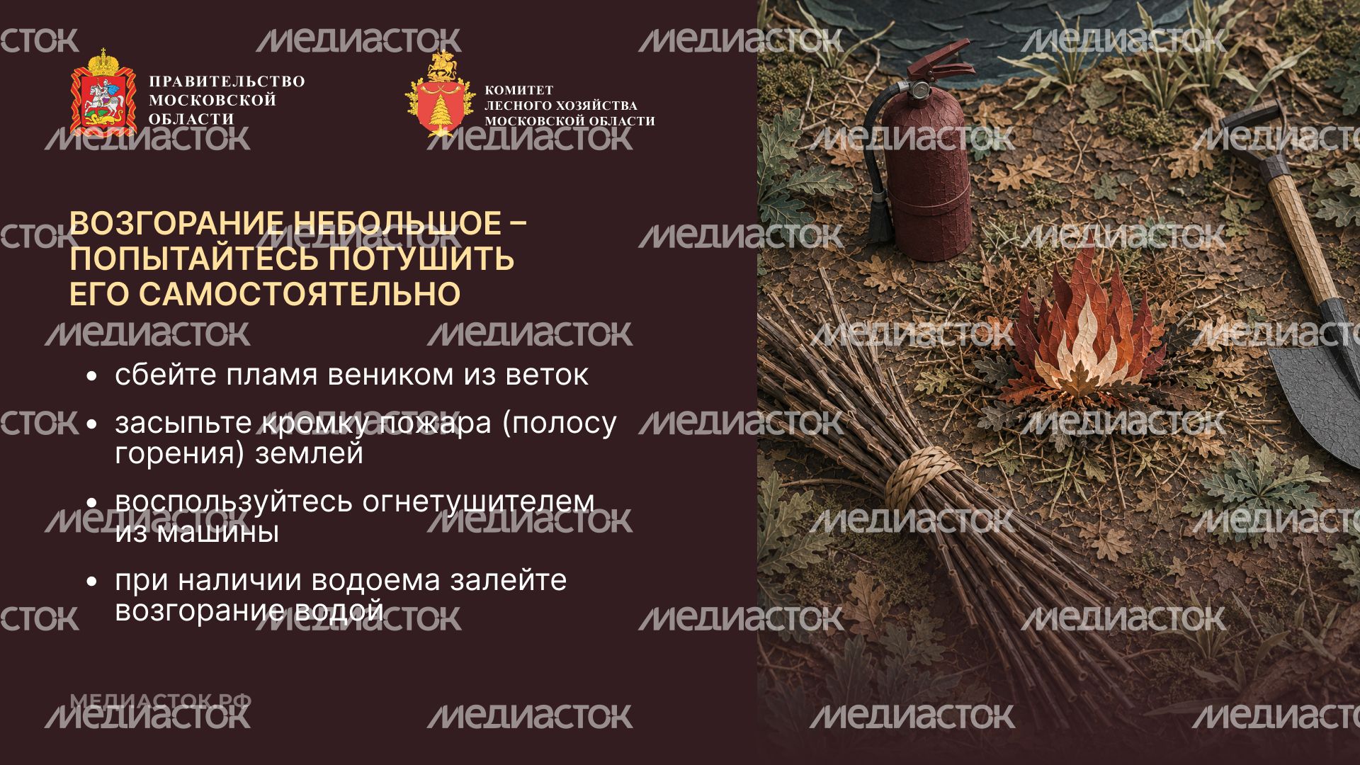 Живете рядом с лесом горизонталь 09