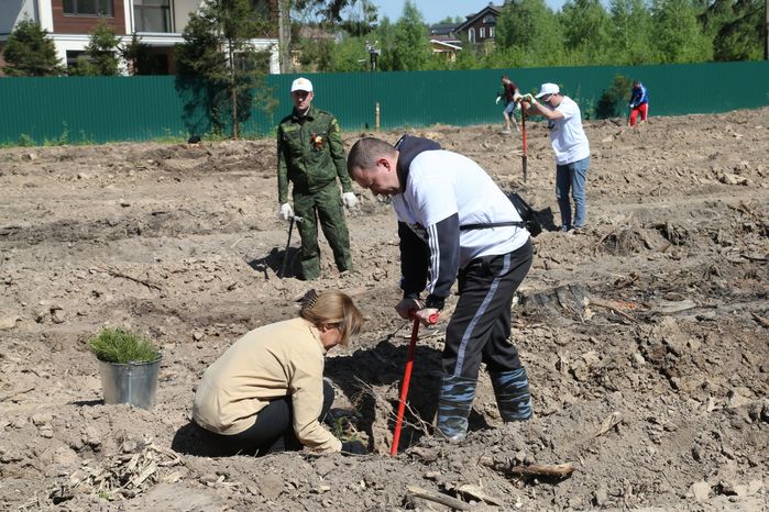 Акция «Лес Победы» в Красногорском районе