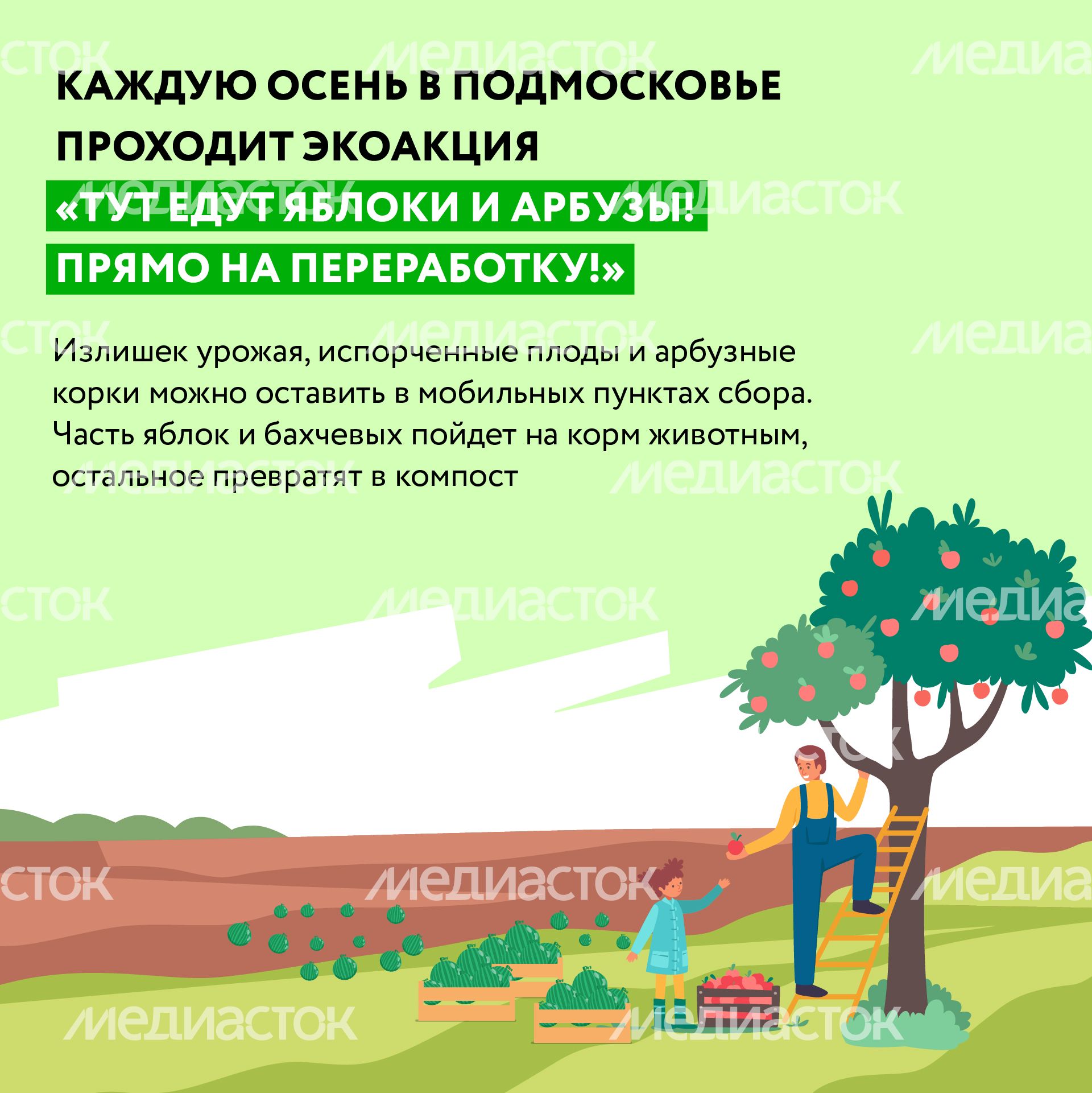 Квадрат_арбузы_02-100.jpg