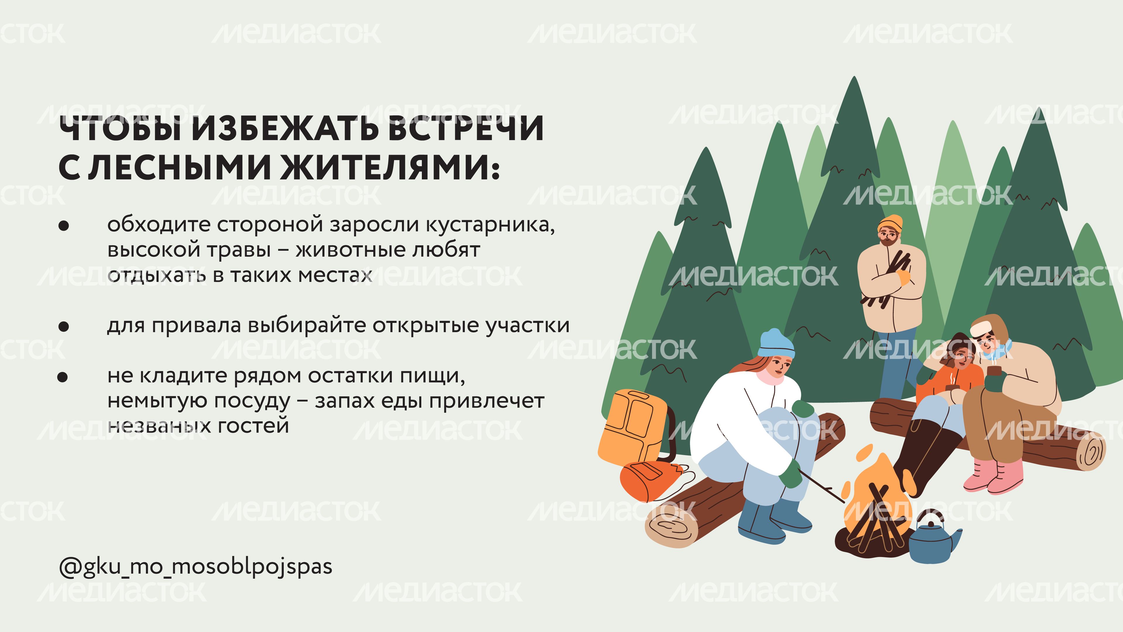 Горизонтали Безопасность в лесу 06.jpg