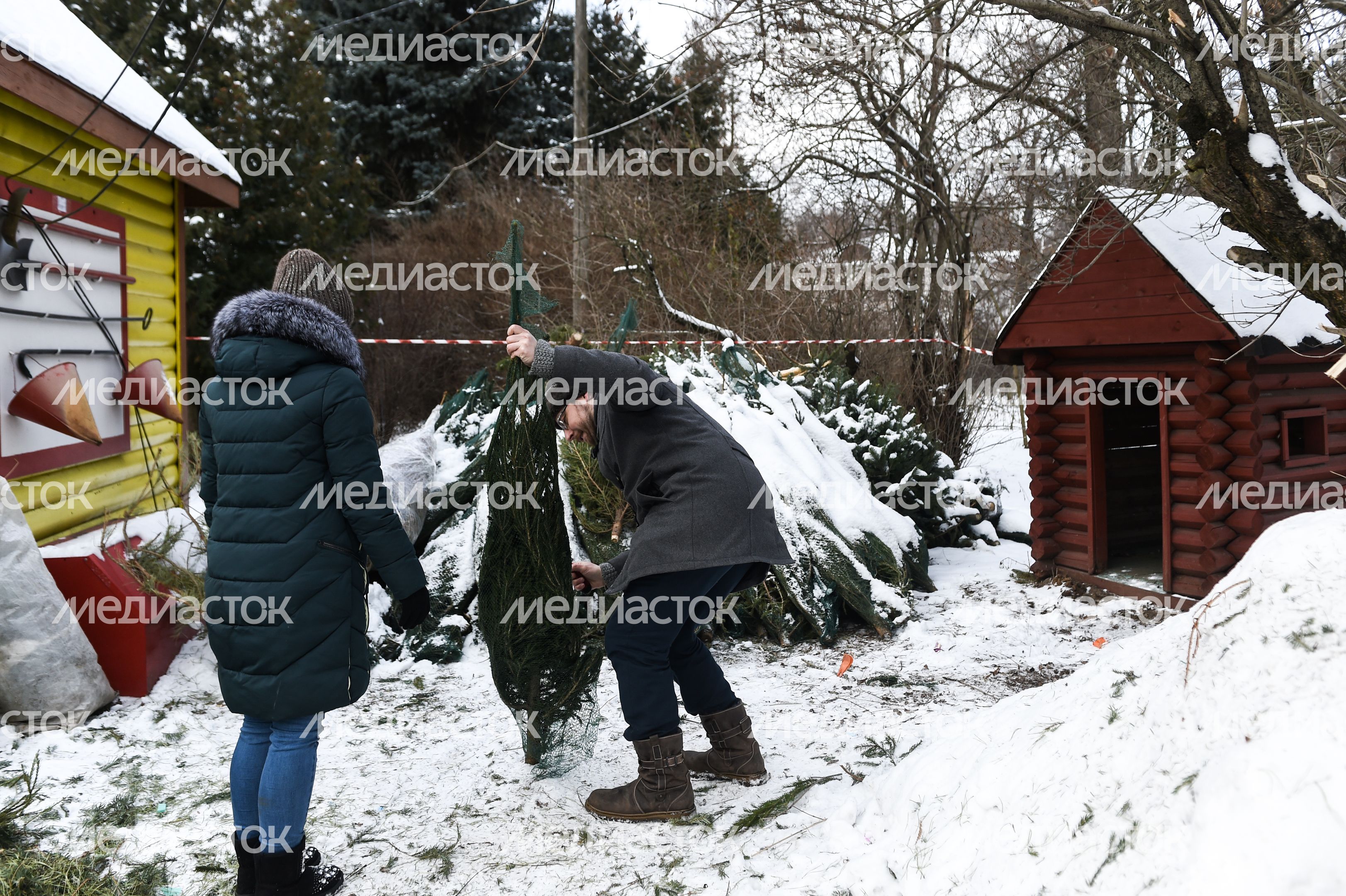 Утилизация елок после Нового года в Москве