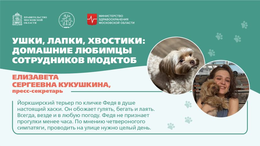 Ушки, лапки, хвостики горизонталь 03