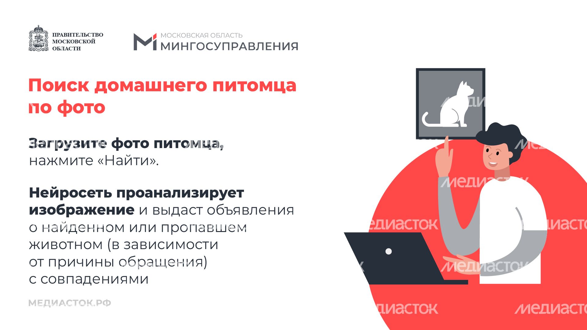 Домашние животные горизонталь 04 Домашние животные горизонталь 04