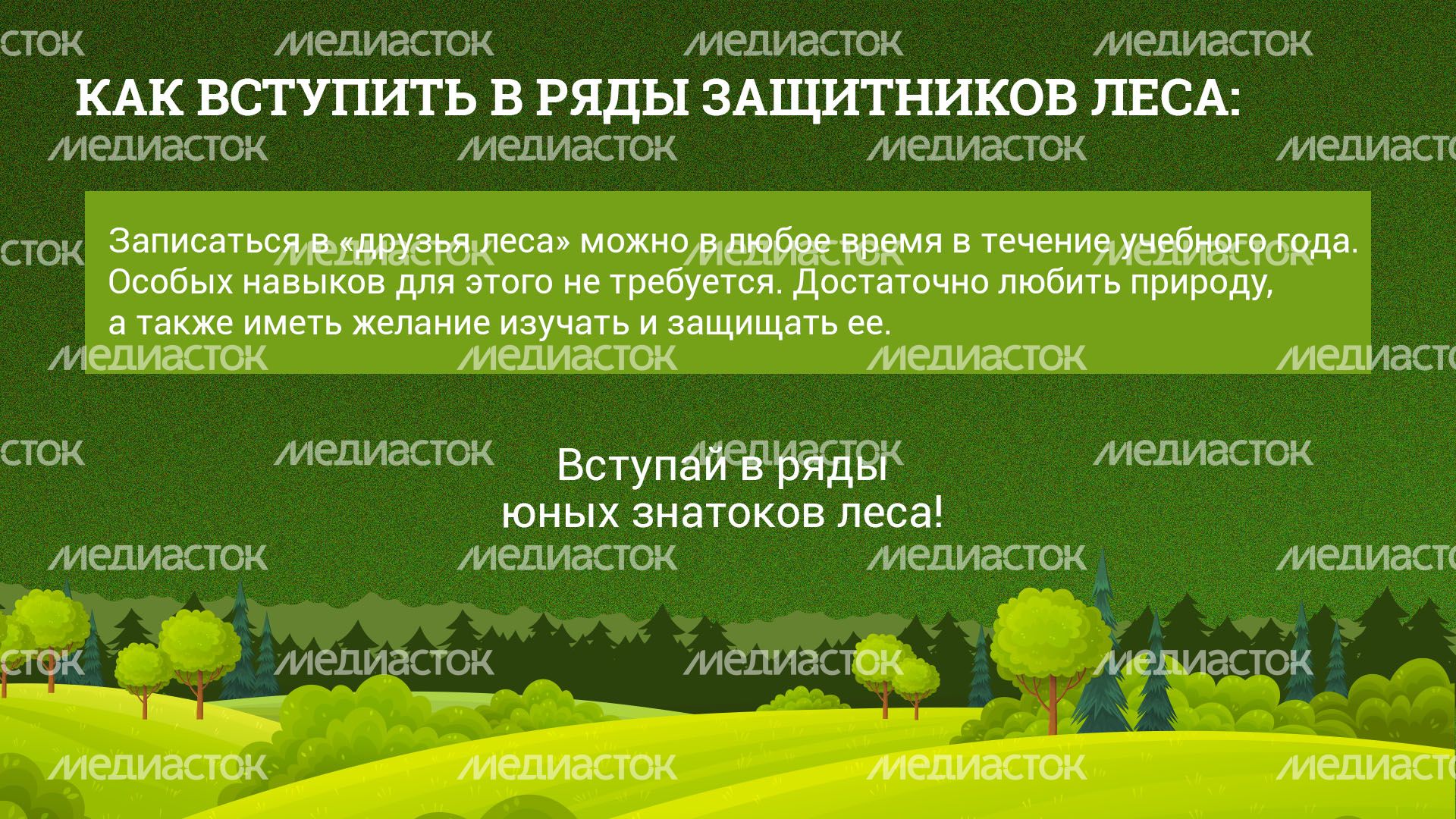 Горизонт_Школьные лесничестваArtboard 6.jpg