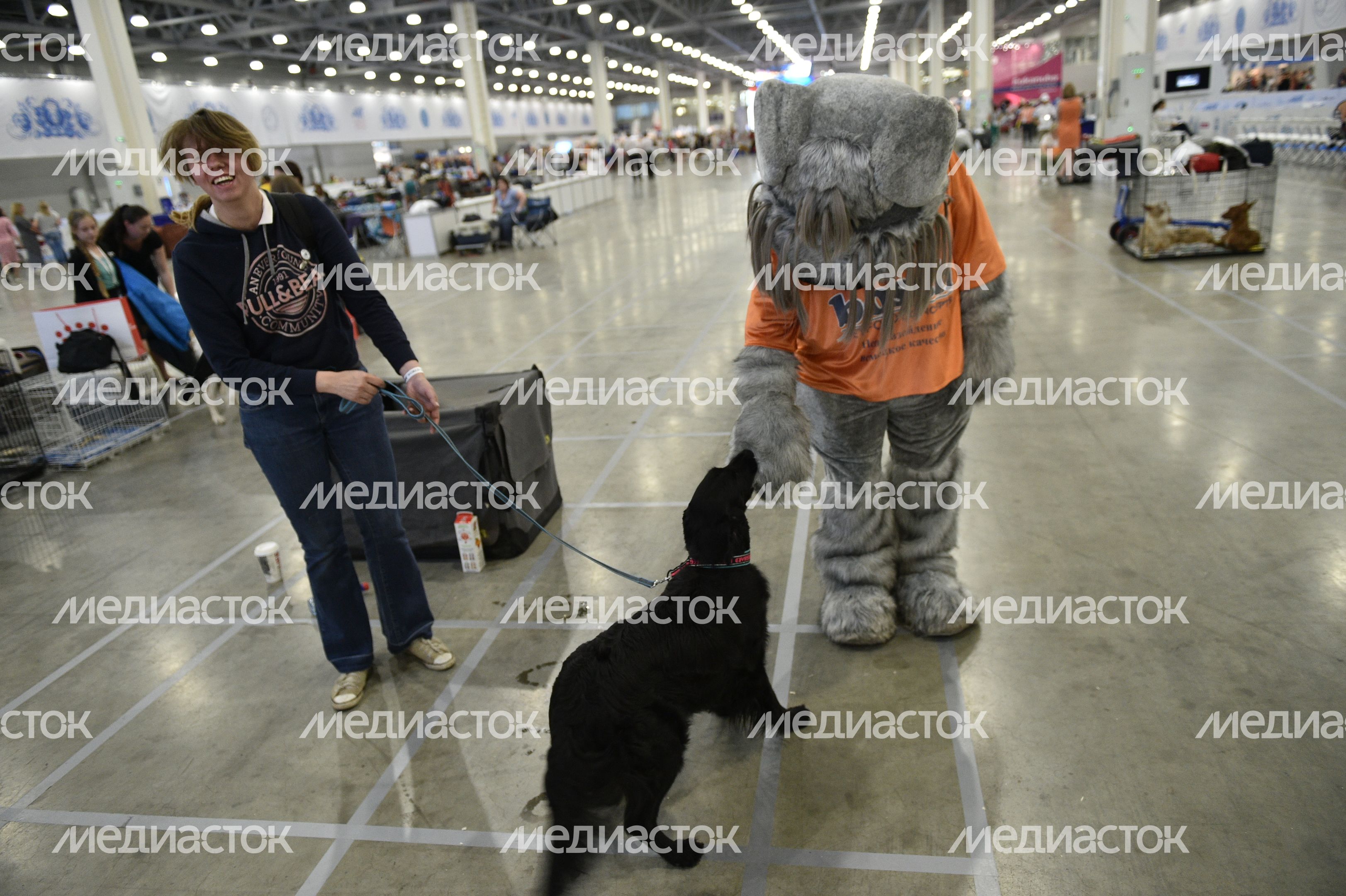 Всемирная выставка собак World Dog Show 2016 в МВЦ «Крокус Экспо» Всемирная выставка собак World Dog Show 2016 в МВЦ «Крокус Экспо»