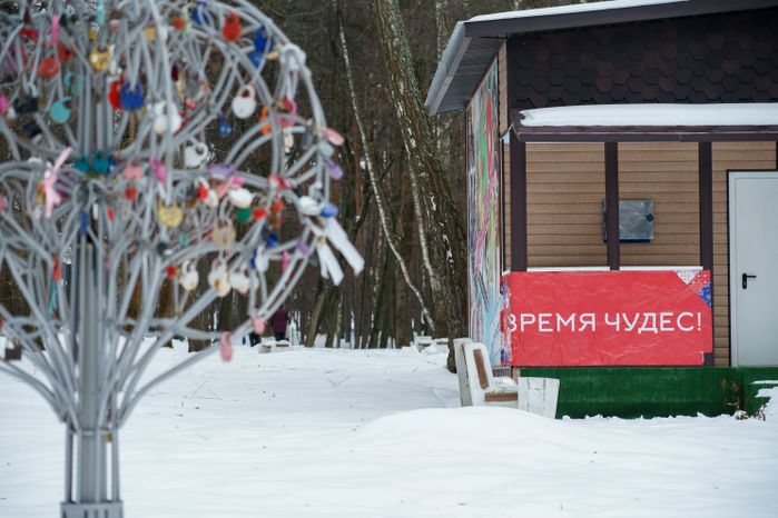 Кашира. Городской парк. Зима