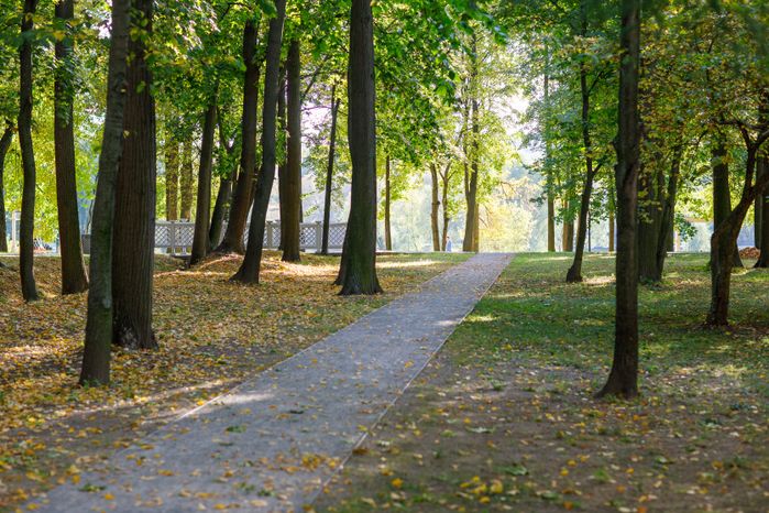 Воскресенск. Парк усадьбы Кривякино