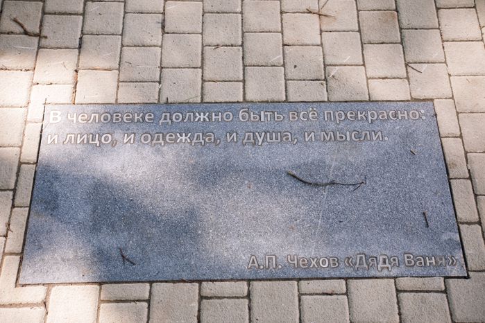 Звенигород. Липа Чехова
