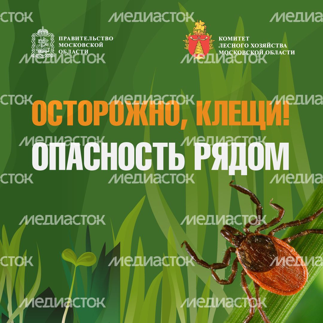 комлесхоз_клещи_кв_1