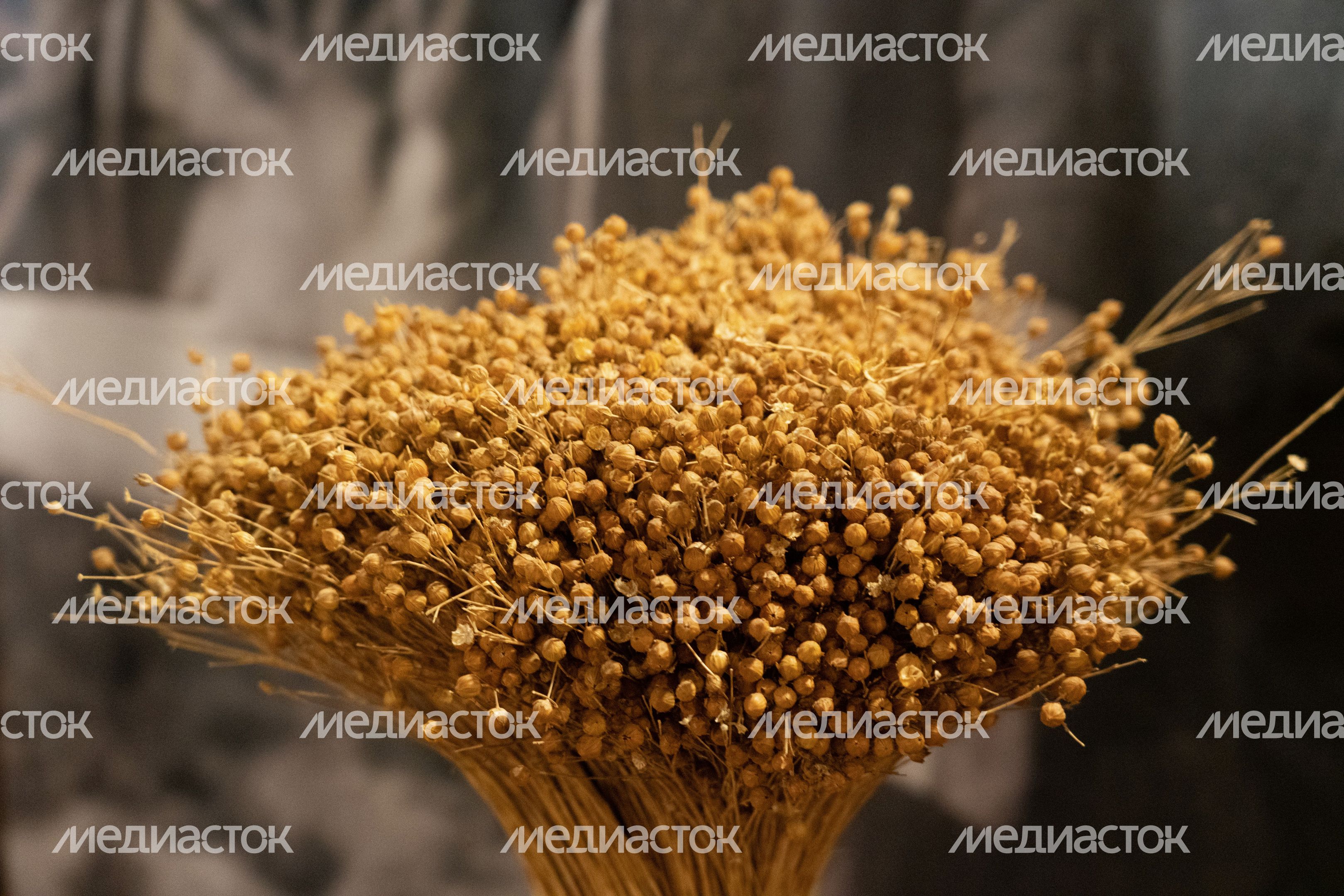 Музей крестьянского быта Музей крестьянского быта