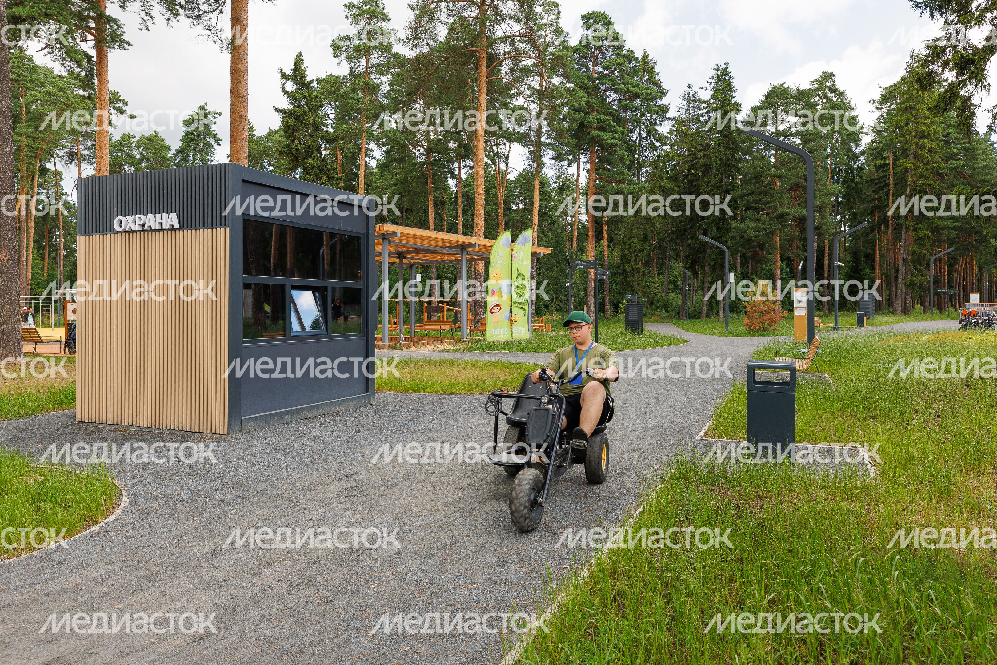 Лесопарк «Стрелки» в Орехово-Зуево летом