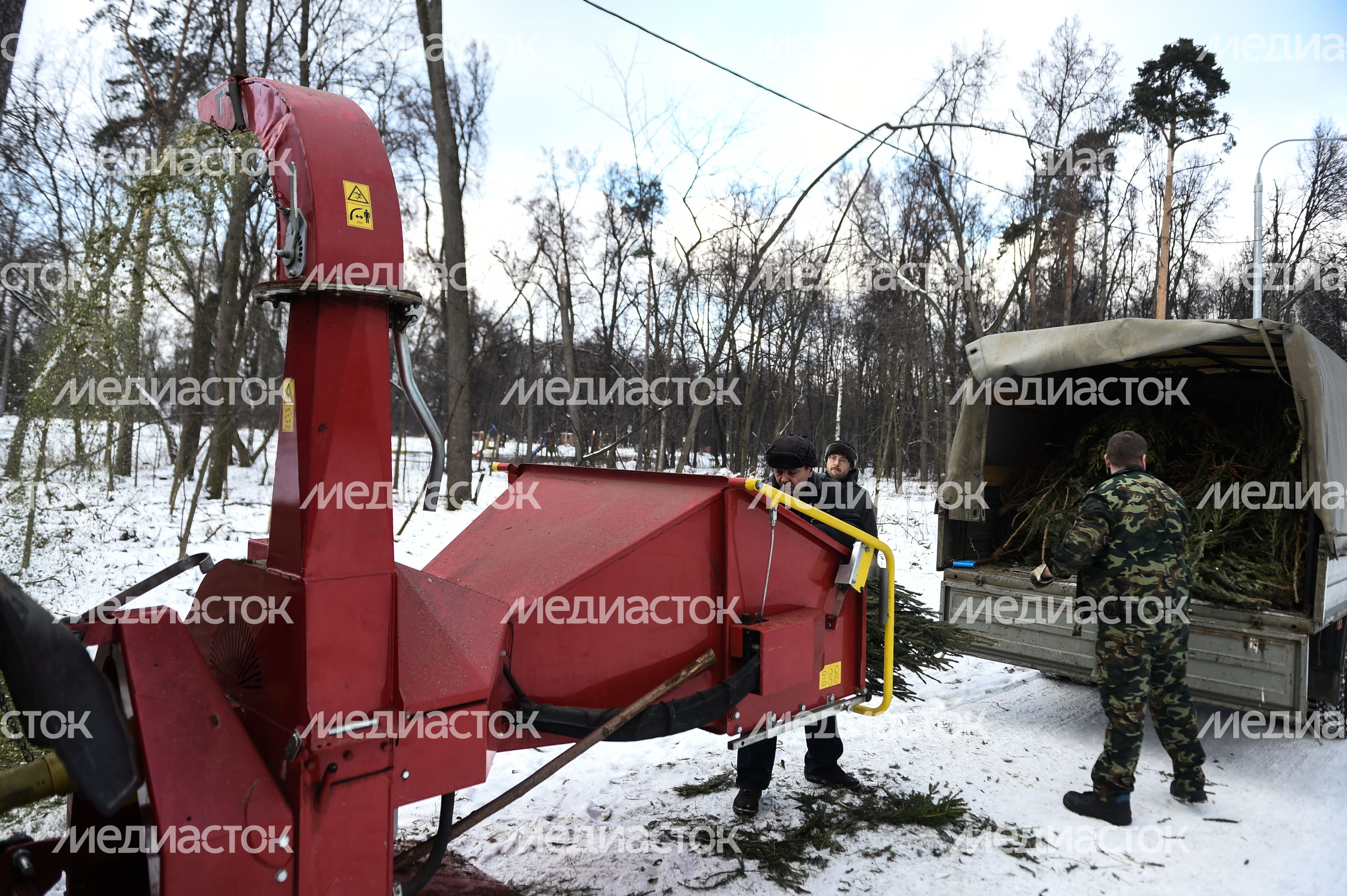 Утилизация елок после Нового года в Москве