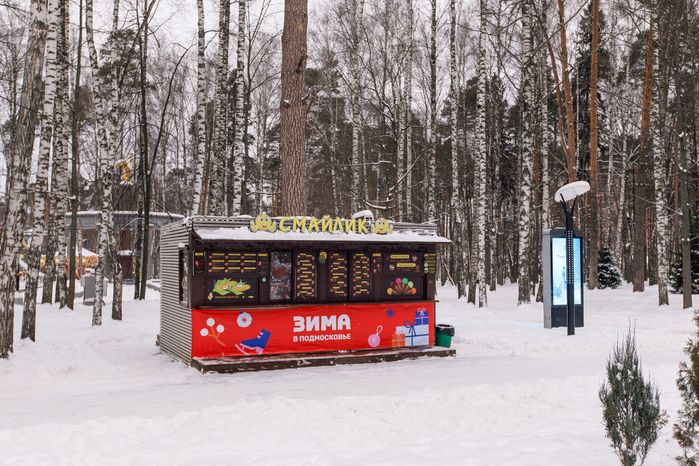 Центральный парк культуры и отдыха в Ногинске зимой