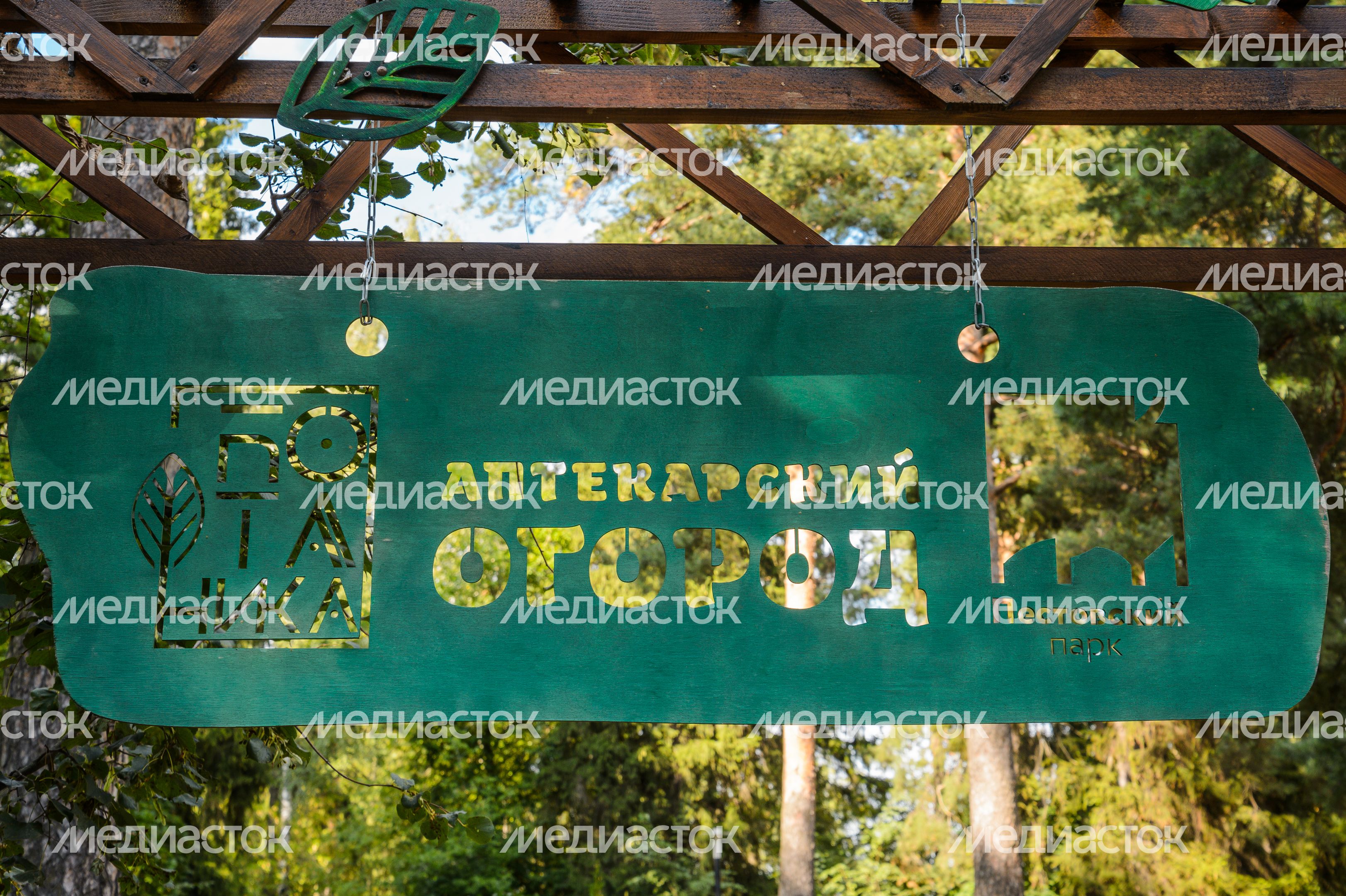 Балашиха. Пестовский парк Балашиха. Пестовский парк