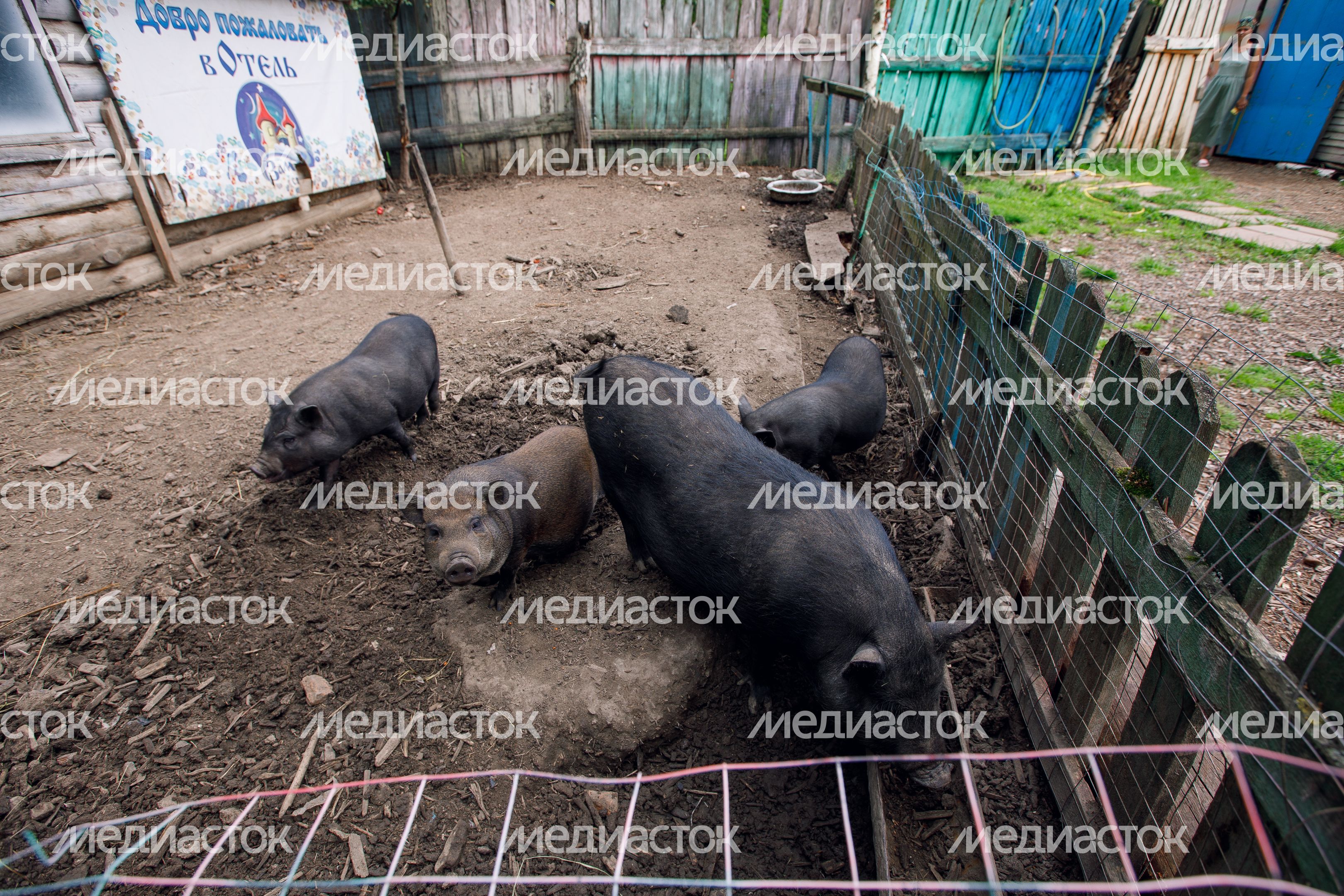 Домодедово. Музей Сказок Домодедово. Музей Сказок