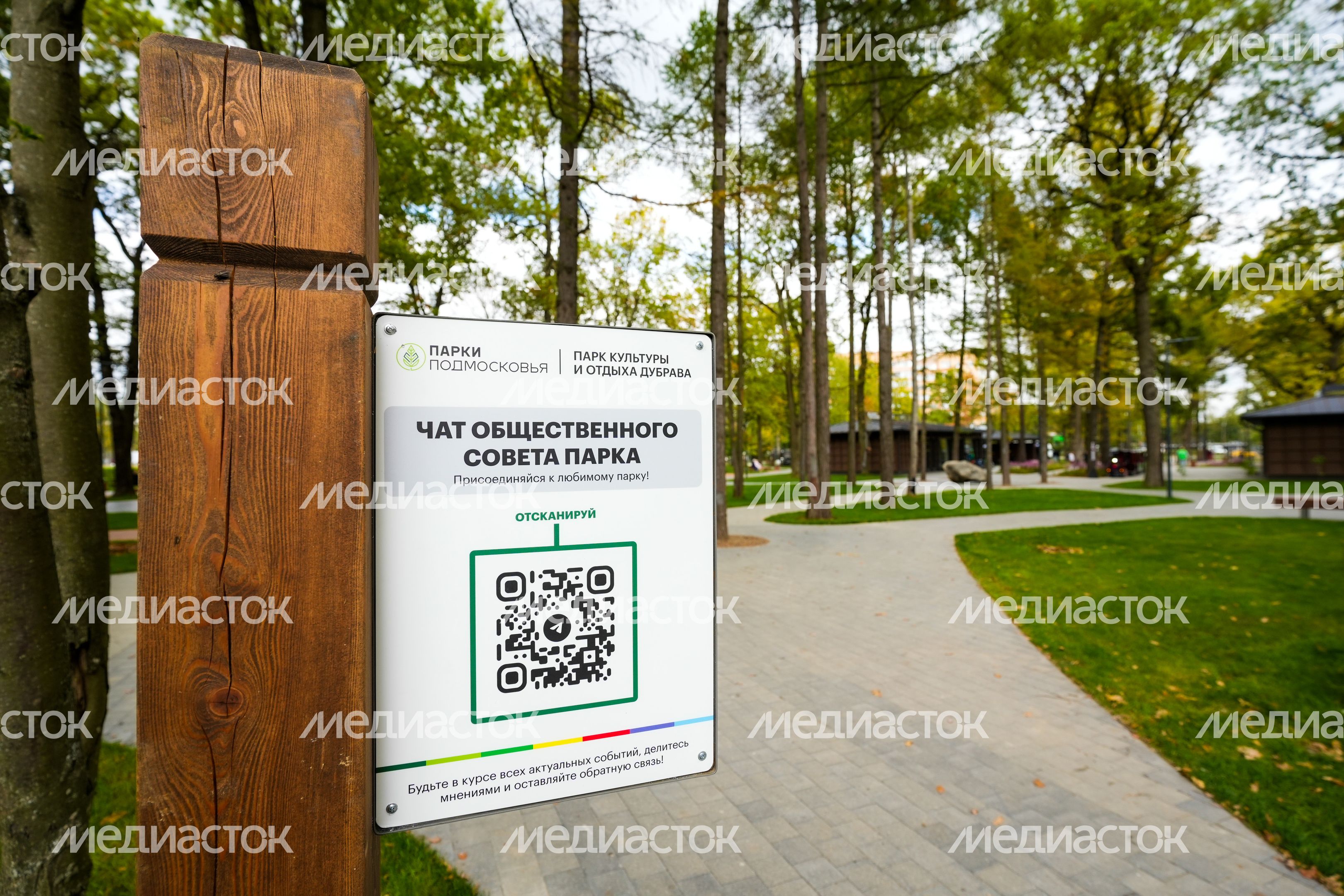 В Подольске завершается благоустройство лесопарка "Дубрава" В Подольске завершается благоустройство лесопарка "Дубрава"