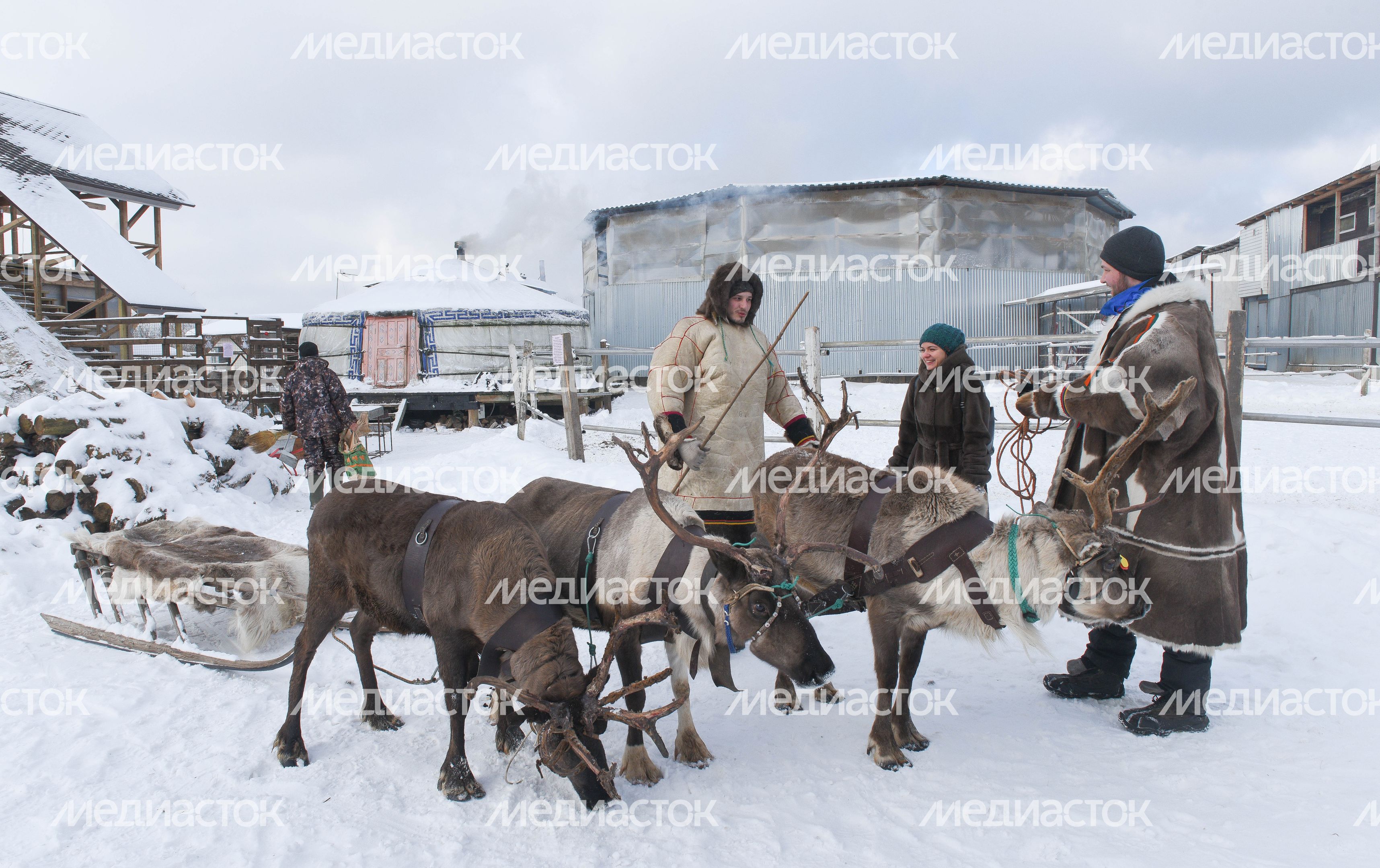Оленья ферма в Дзержинском