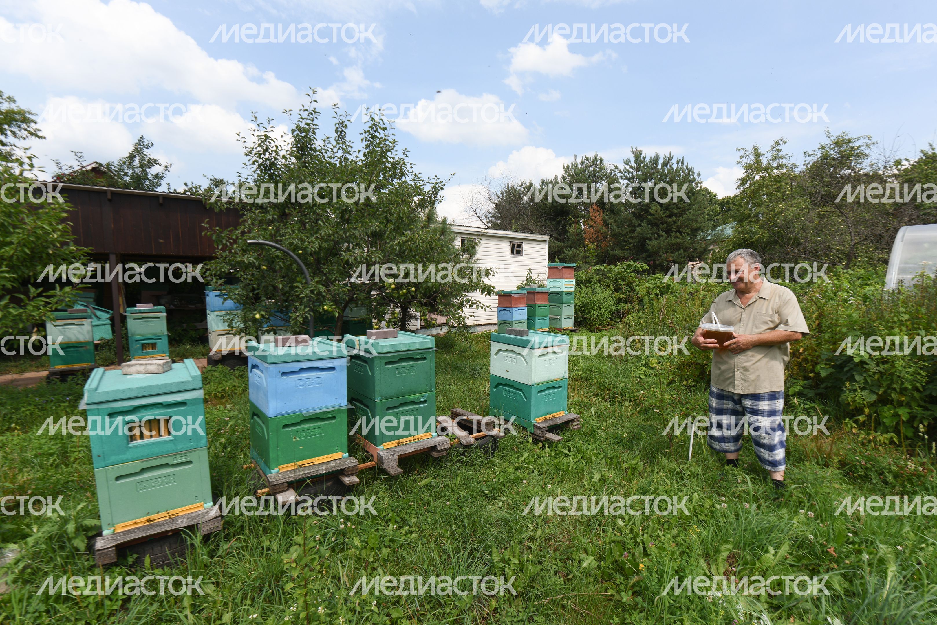 Пчеловод из Королева, 2 часть