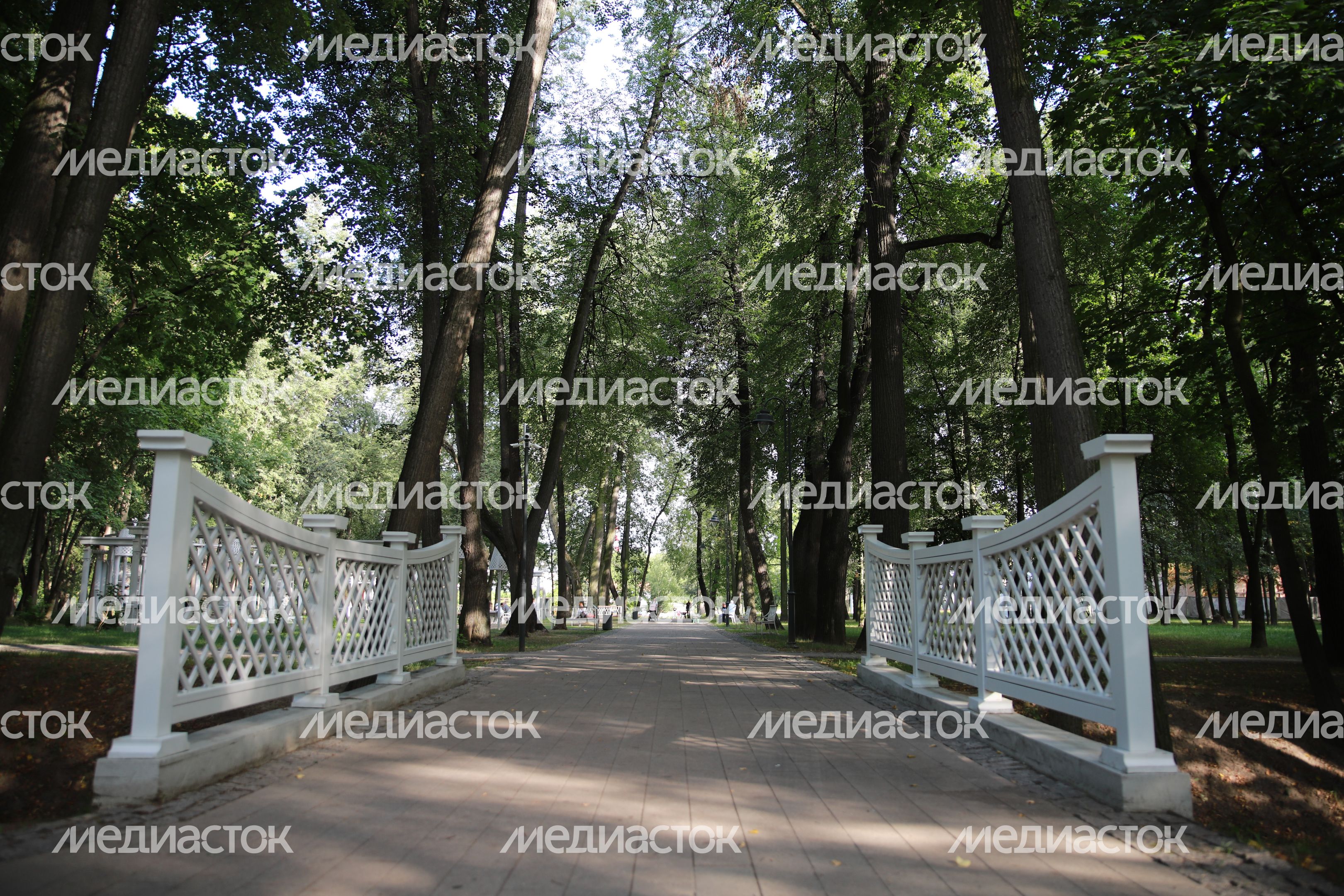 Кривякино