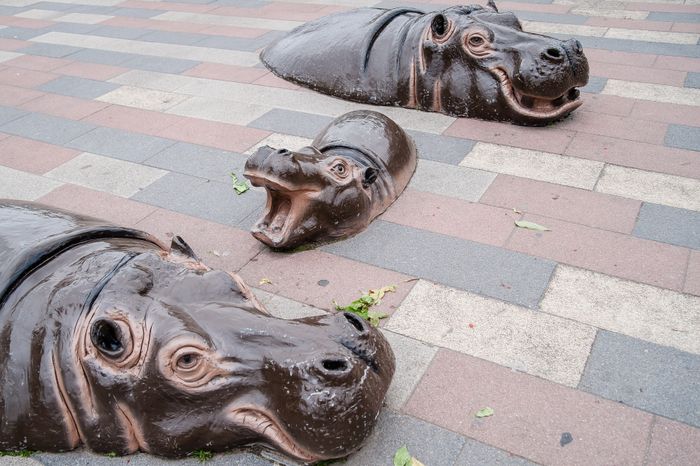 Виды города Одинцово