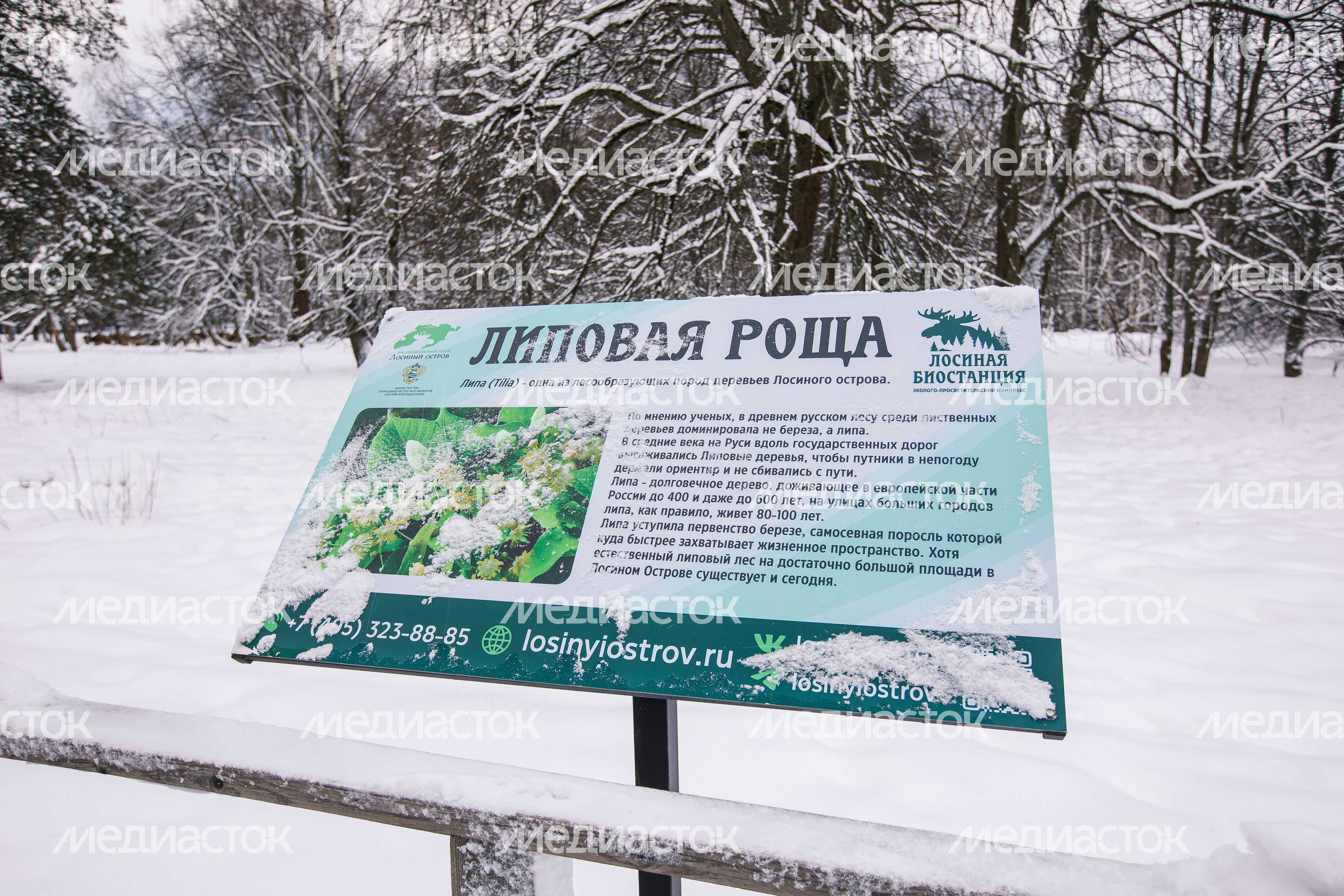 Лосиная биостанция в Национальном парке «Лосиный остров» в Мытищах