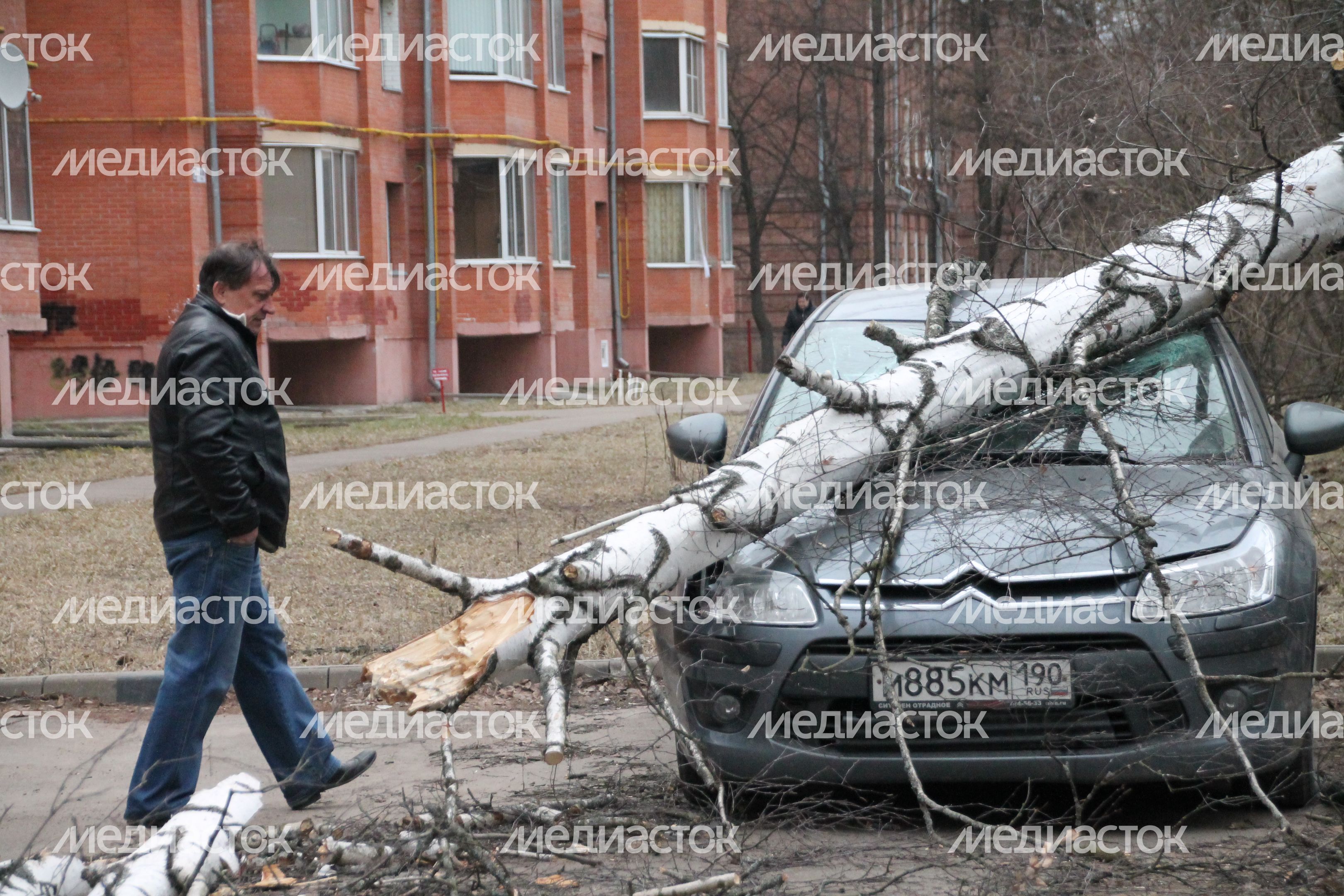 Последствия сильного ветра в Красноармейске