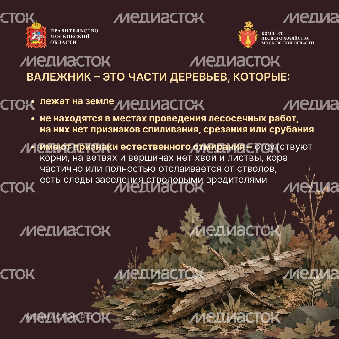 Недревесные ресурсы для собственных нужд Квадрат 04
