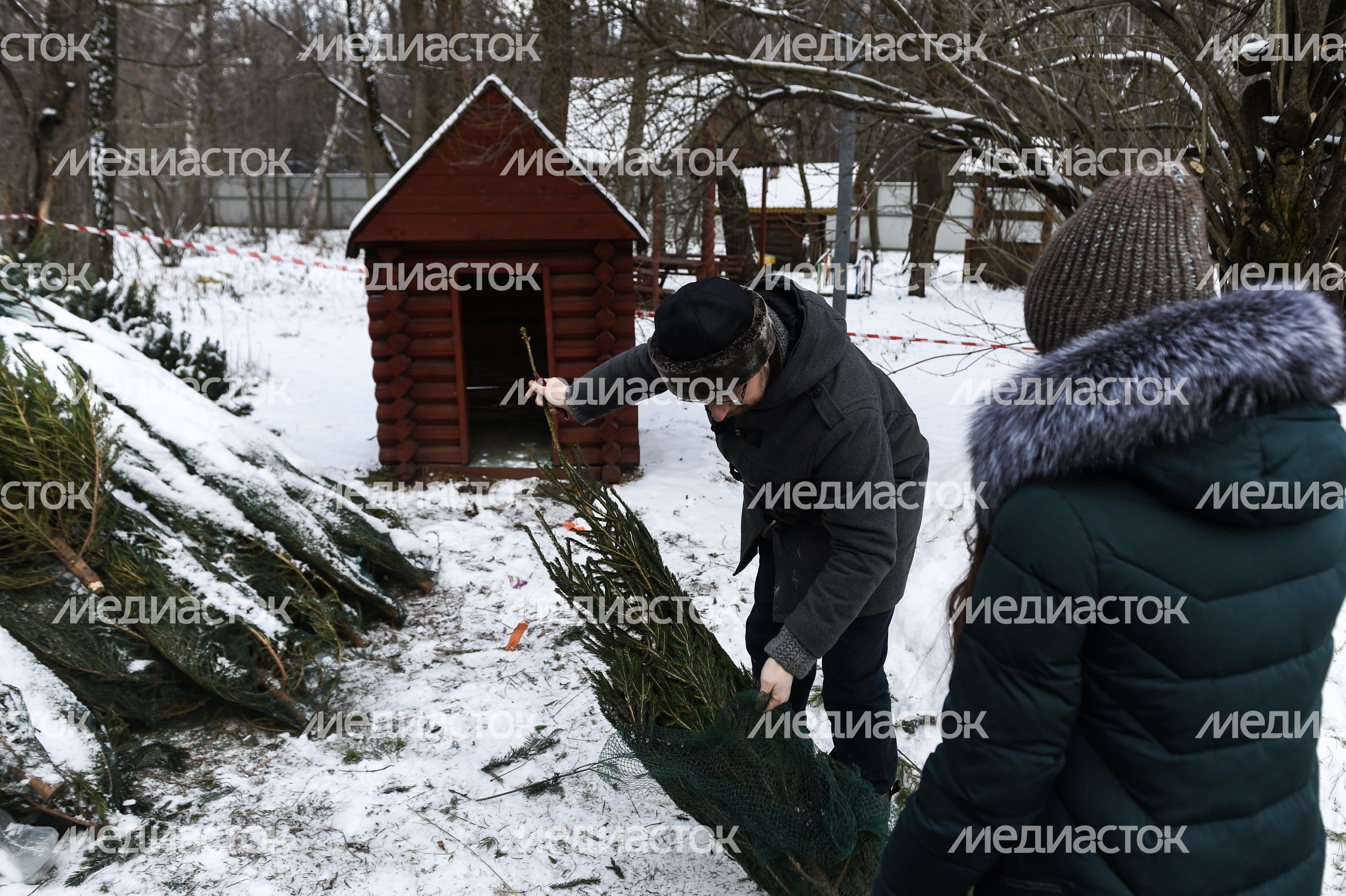 Утилизация елок после Нового года в Москве