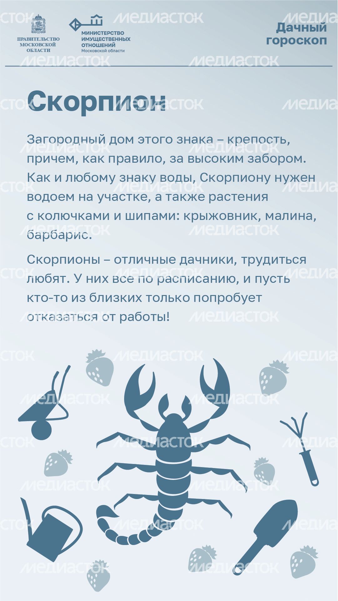 Вертикаль_Дачный_гороскоп_08-100.jpg