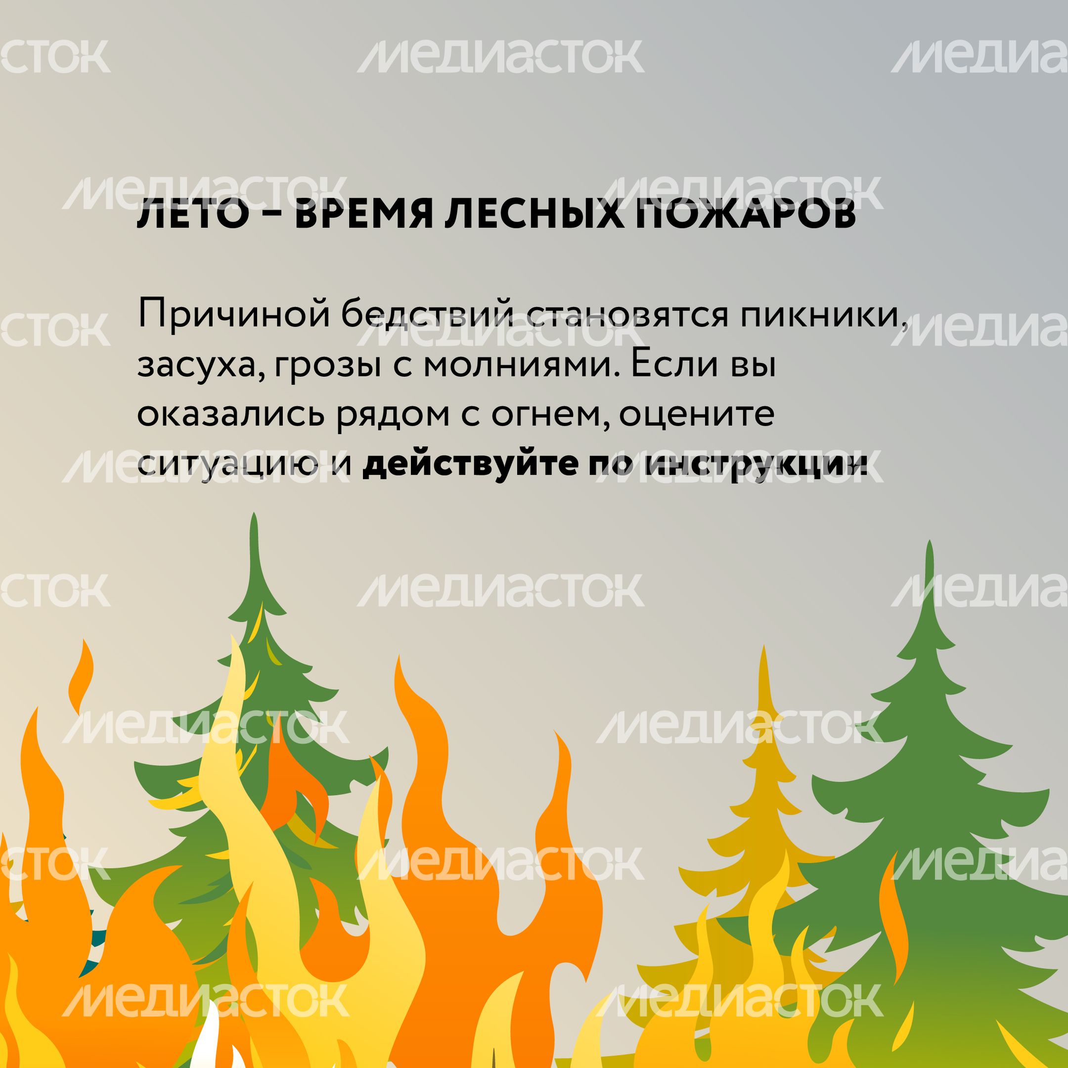 Лесные пожары