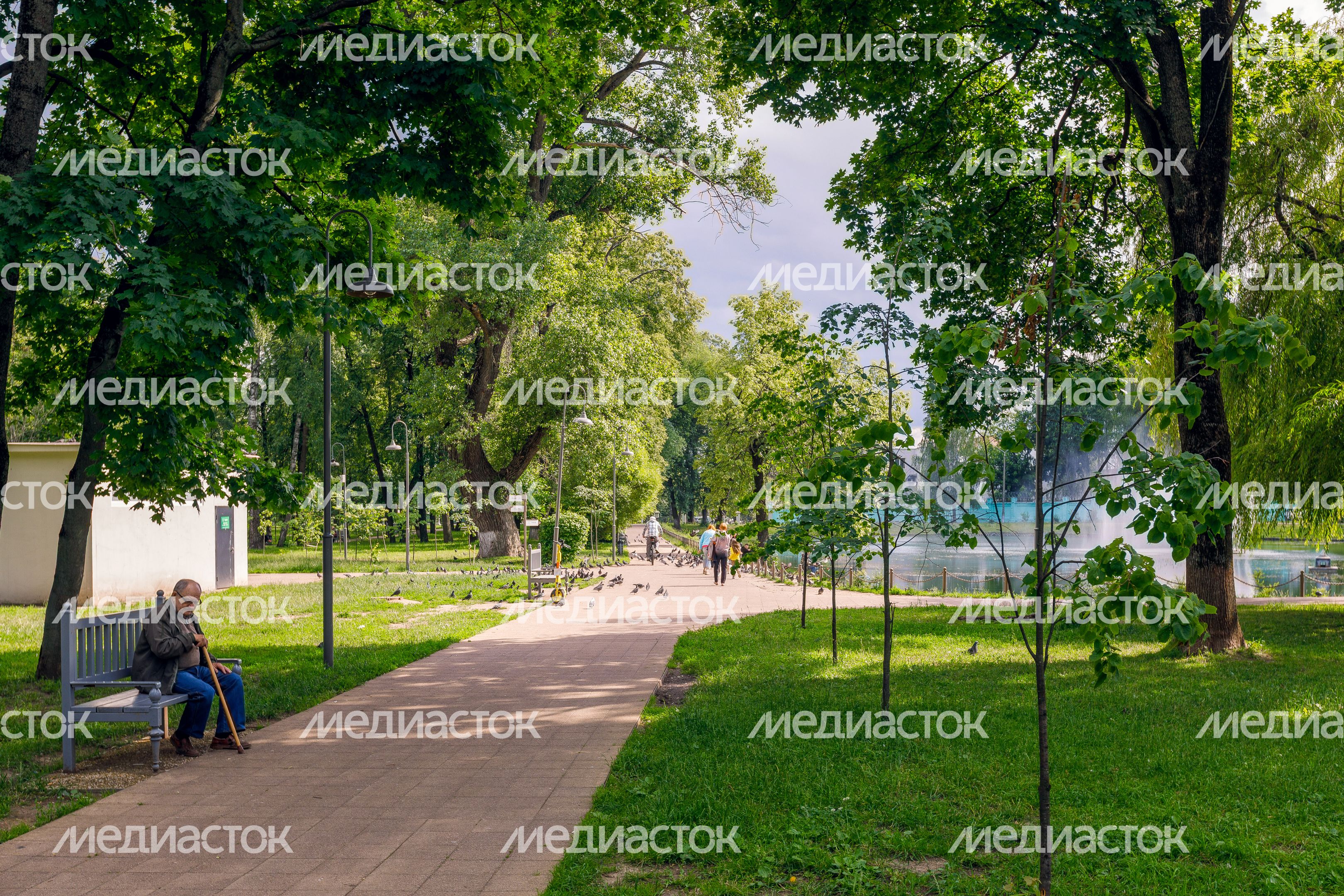 Парк Усадьбы Крафта в Королеве летом Парк Усадьбы Крафта в Королеве летом