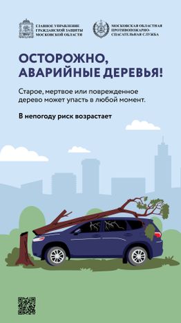 Аварийные деревья_Вертикаль-01.jpg