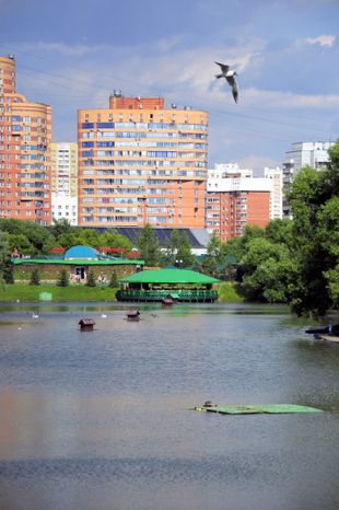 Барашкинский пруд в Химках