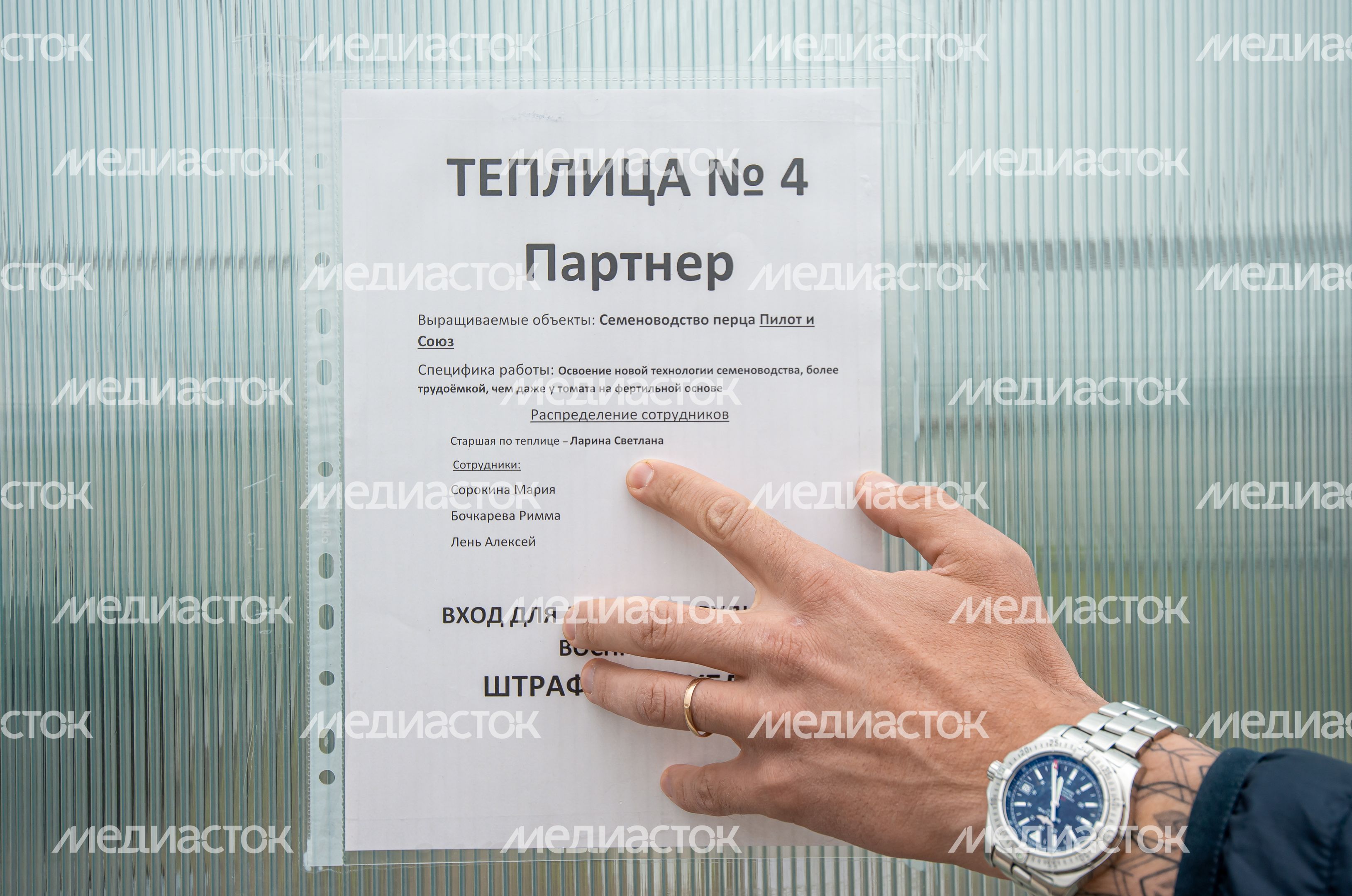Теплицы крупного семеноводческого агропромышленного комплекса ООО «Агрофирма Партнер» Теплицы крупного семеноводческого агропромышленного комплекса ООО «Агрофирма Партнер»