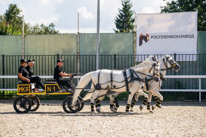 IV Чемпионат русских троек «Крылатое сердце России» в Одинцовском округе