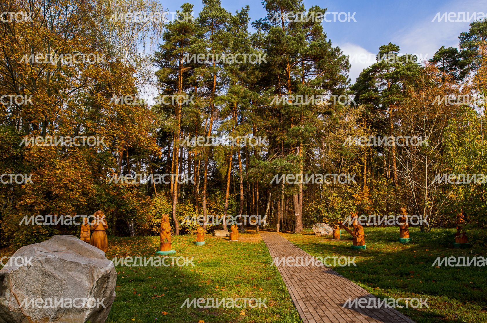 Осенние виды Томилинского лесопарка