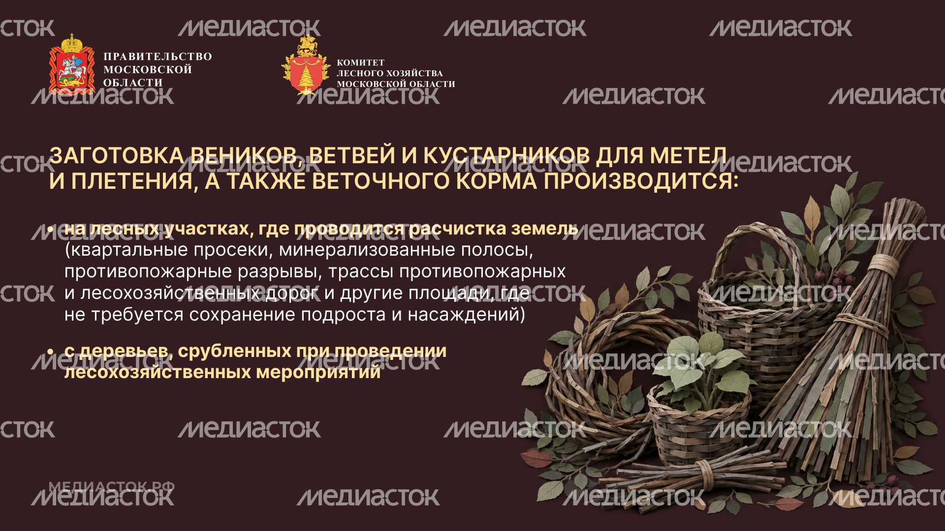 Недревесные ресурсы для собственных нужд Горизонталь 07