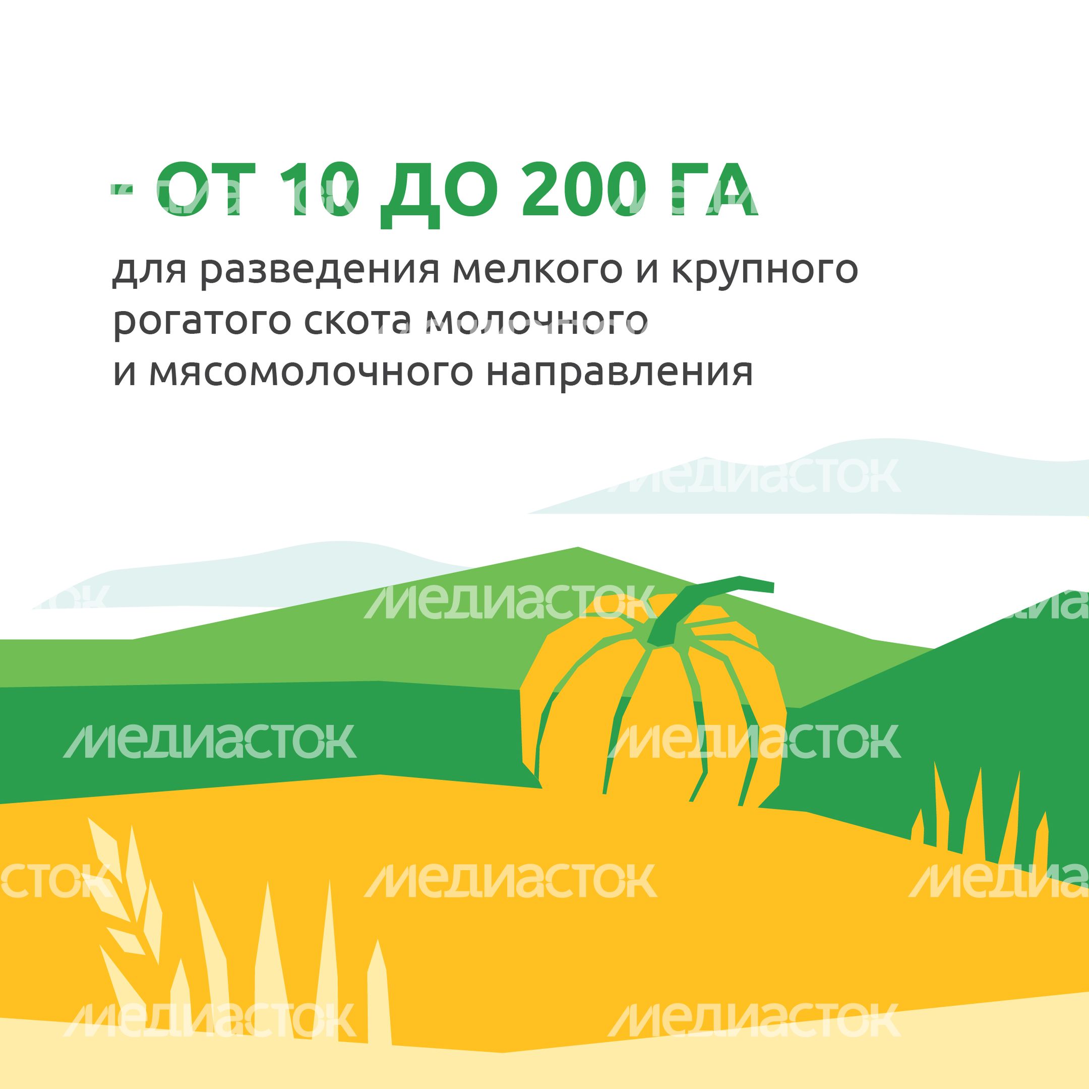 _Подмосковье 10г_-22.jpg