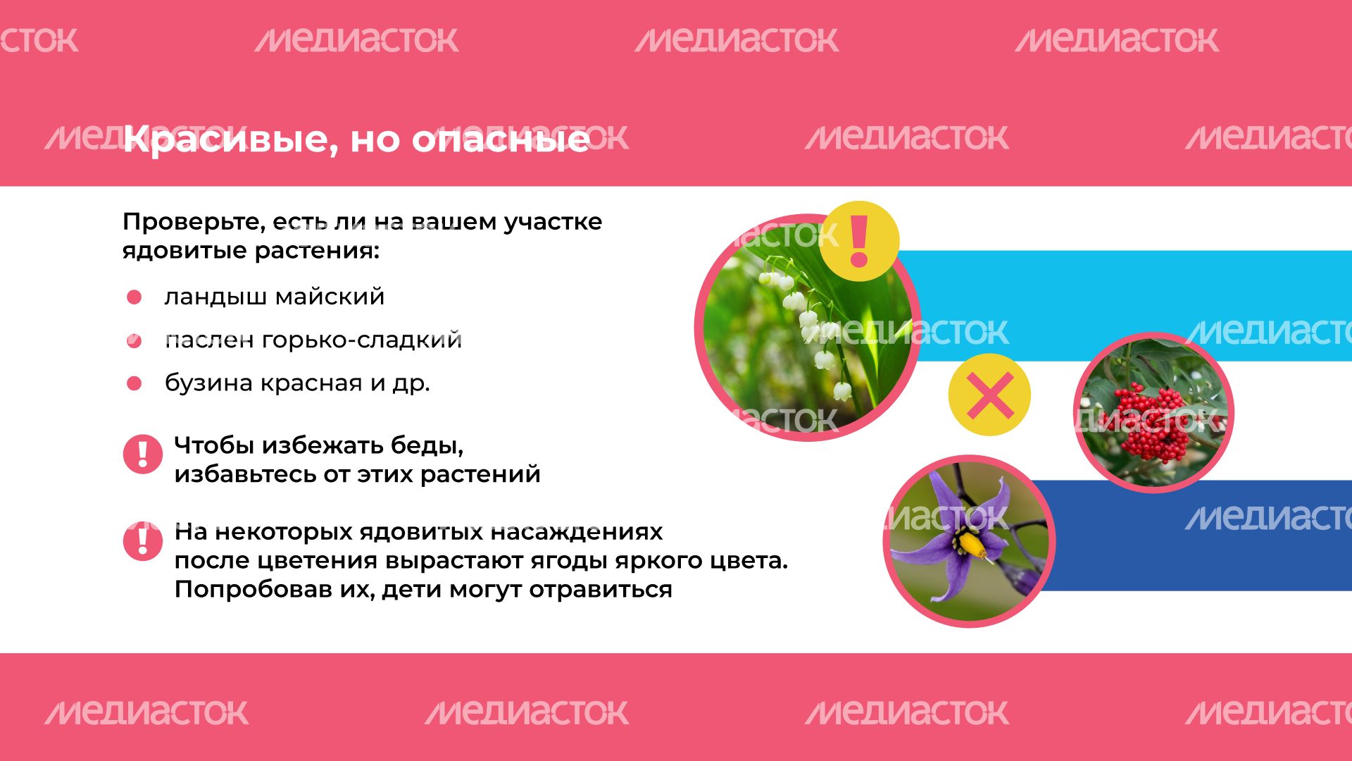 Отдых на даче с детьми горизонталь (7).png