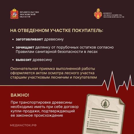 Как заготовить древесину квадрат 10