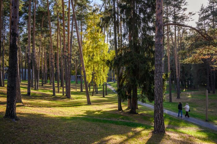 Жуковский парк культуры и отдыха осенью