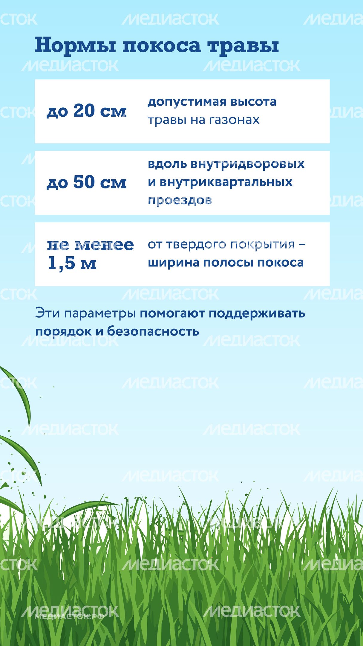 Как ухаживают за газонами вертикаль 04 Как ухаживают за газонами вертикаль 04