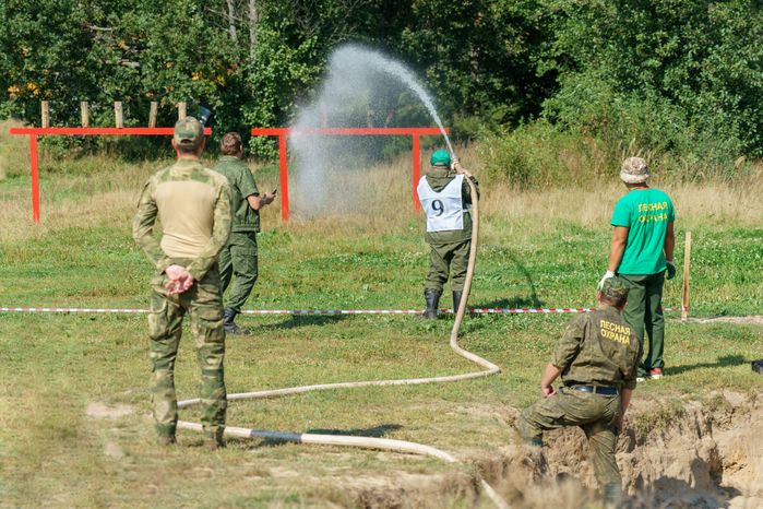 Областной смотр-конкурс на звание "Лесник года" 2024 в округе Воскресенск