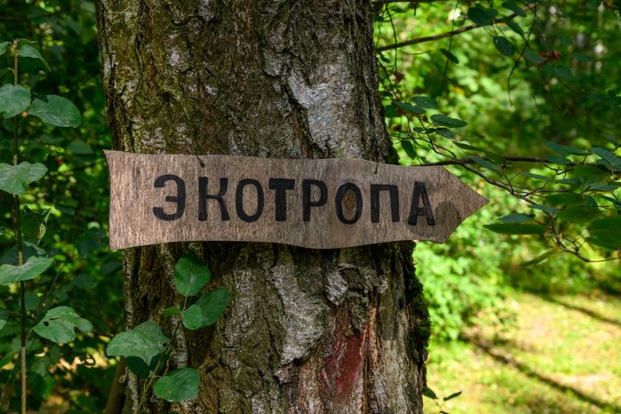 Лето в лесопарке «Гальчино» в Домодедово