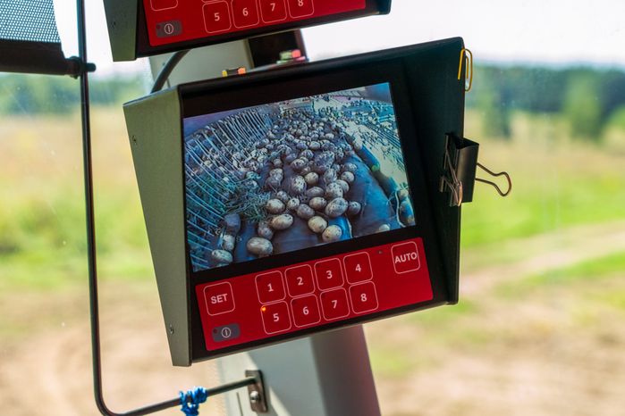 Сбор урожая картофеля в Дмитровском округе