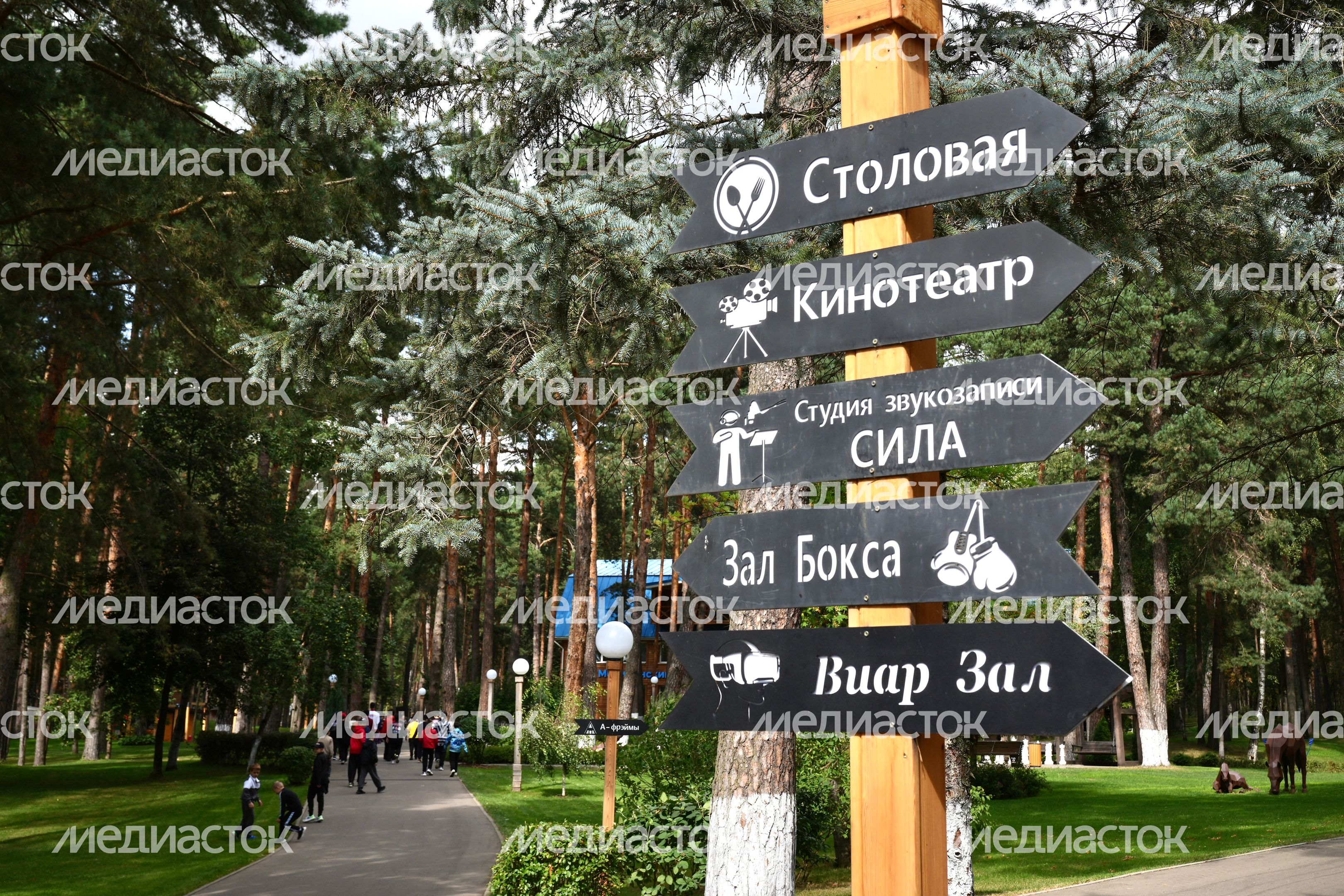 Спортивная база "Лесная опушка" в г.о. Серпухов Спортивная база "Лесная опушка" в г.о. Серпухов