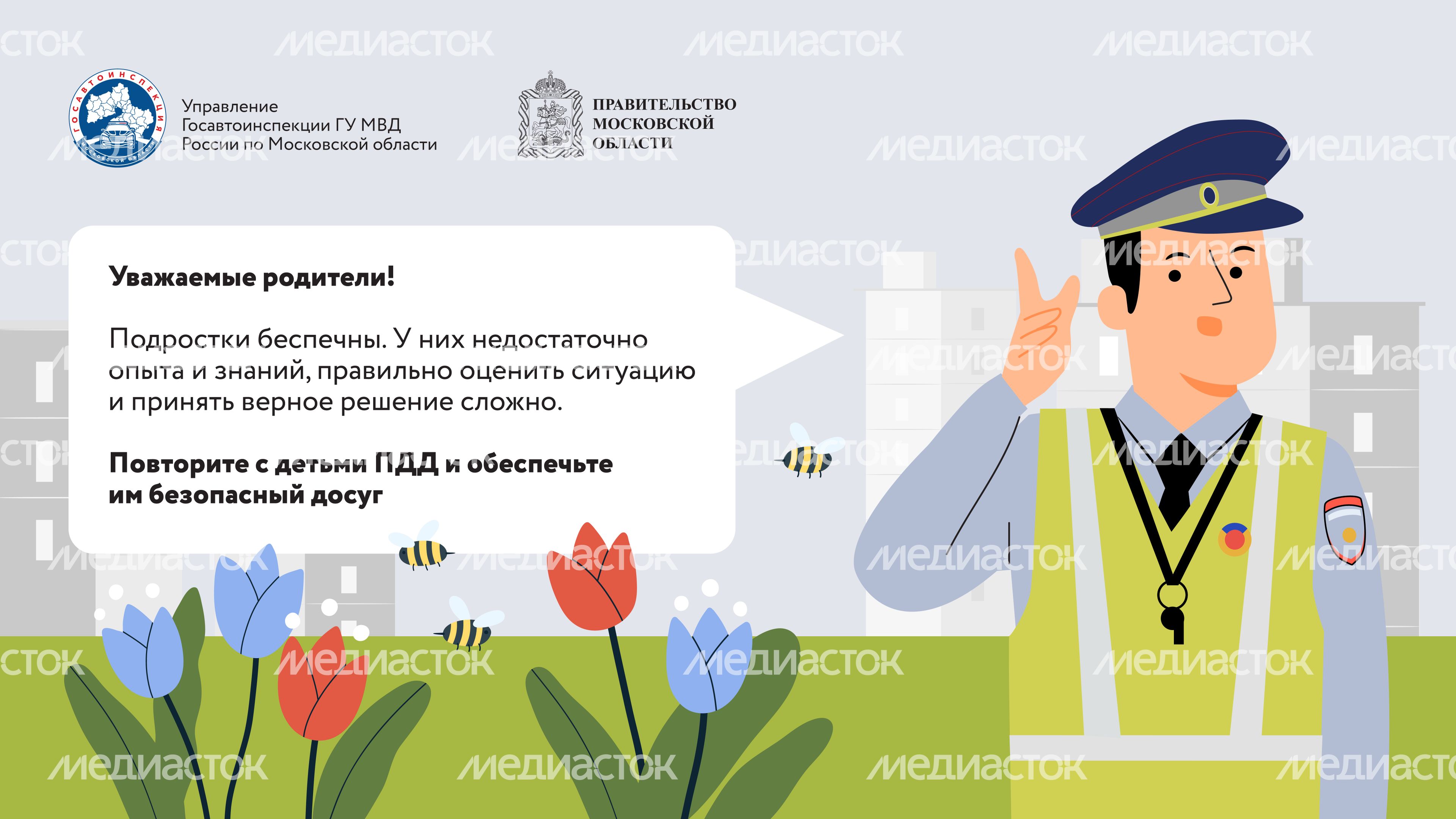 Дача территория безопасности Горизонталь 09