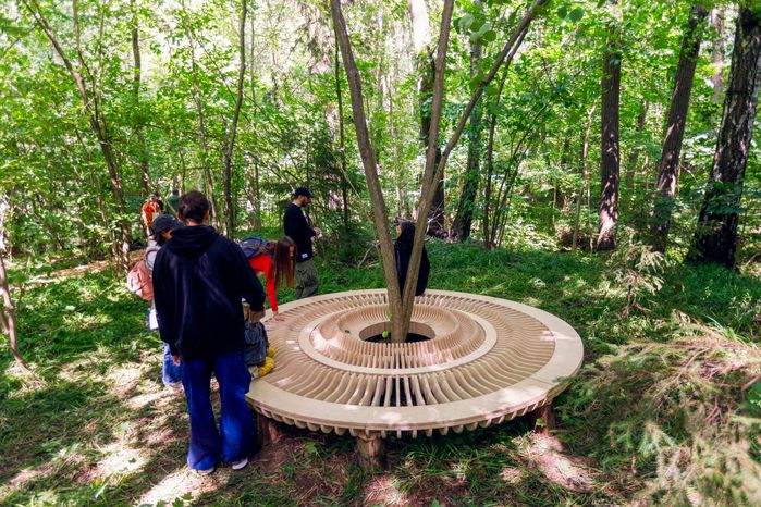 Прогулка по художественно-терапевтической тропе «Лес» в Горках Ленинских