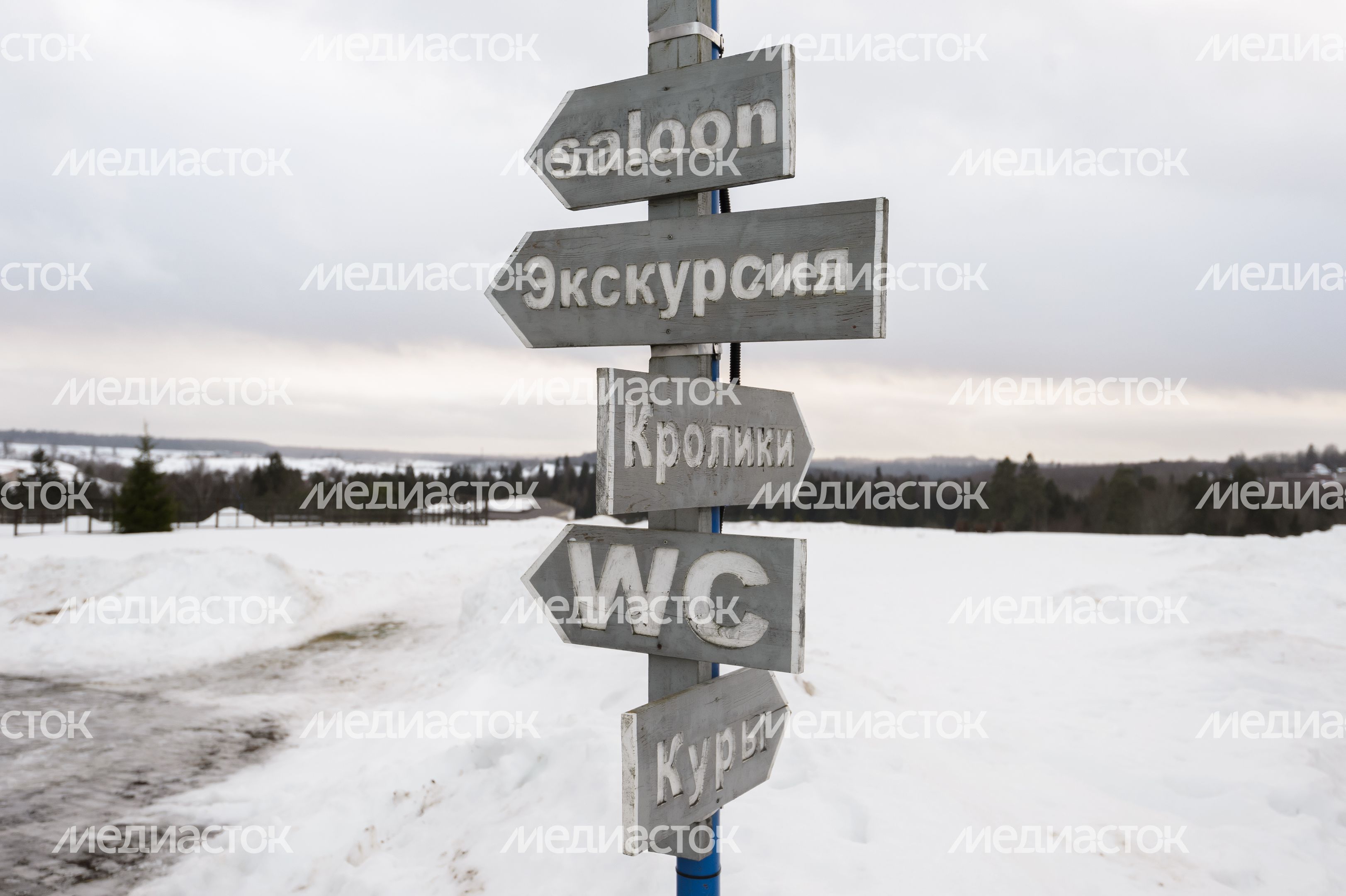 Дмитров. Экоферма «Российские альпаки» Дмитров. Экоферма «Российские альпаки»